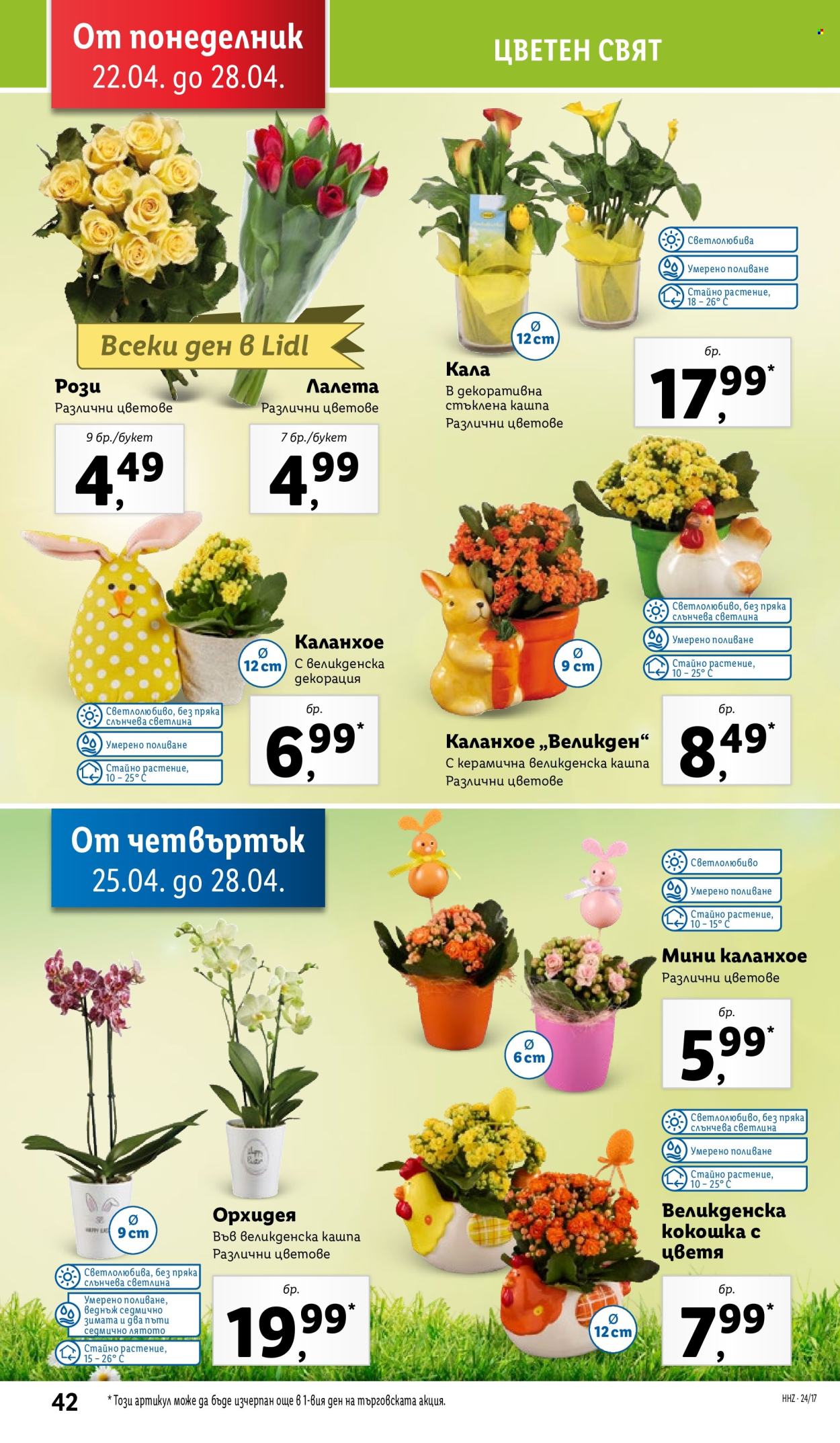 Брошура на Лидл - 22.04.2024 - 28.04.2024. Страница 42