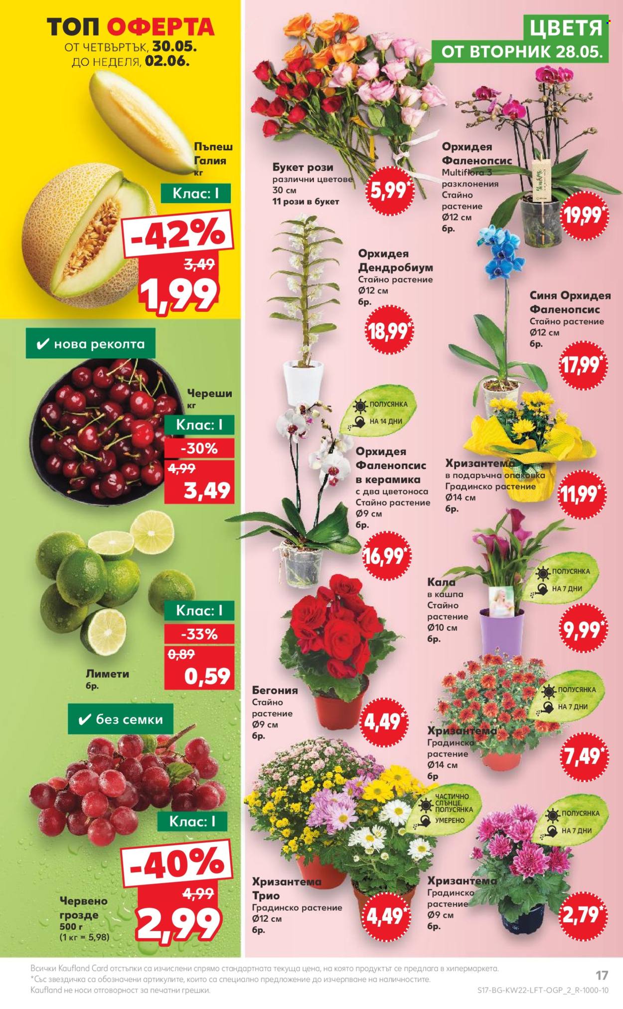 Брошура на Кауфланд - 27.05.2024 - 02.06.2024. Страница 17