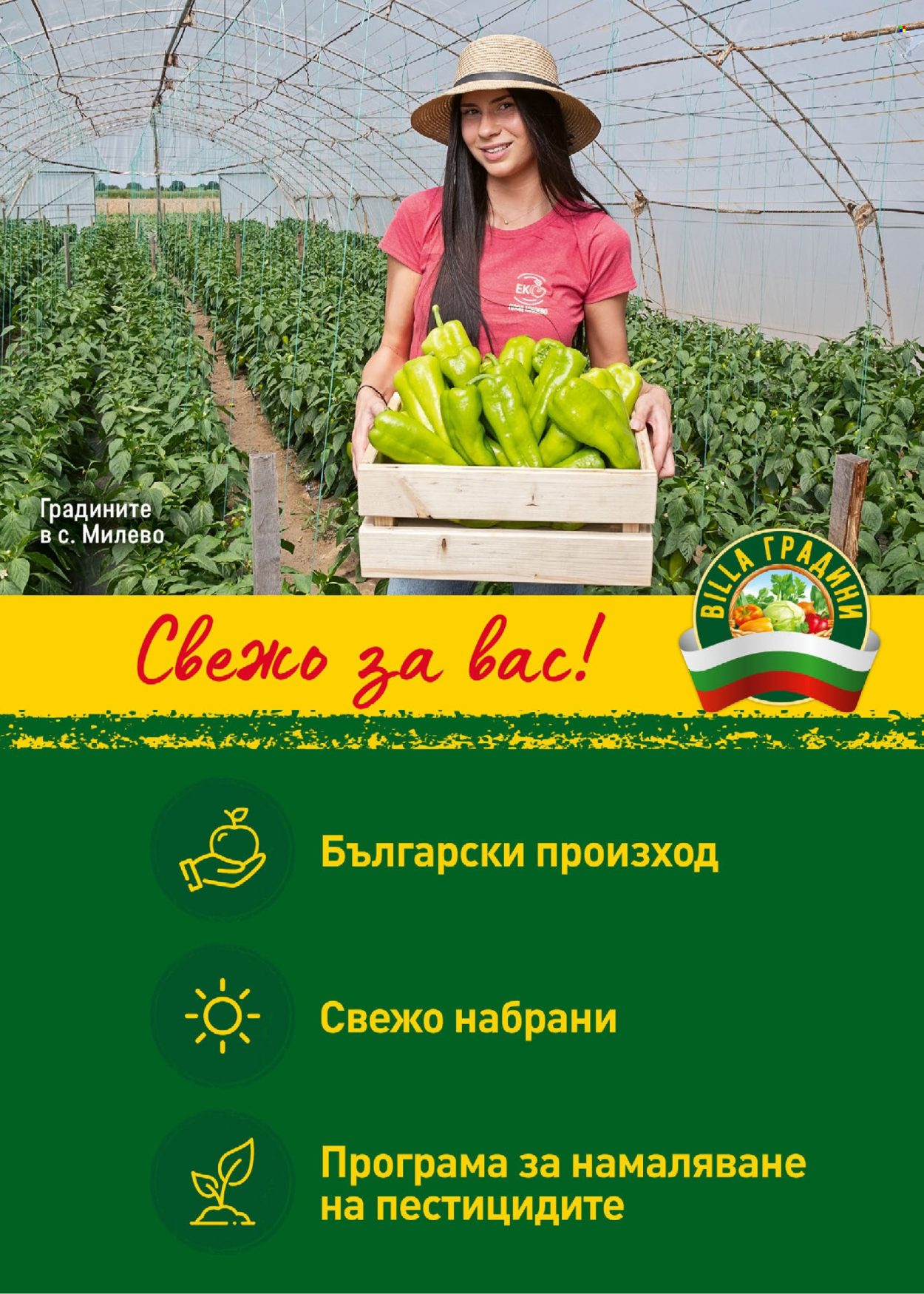 Брошура на BILLA - 04.07.2024 - 10.07.2024. Страница 11