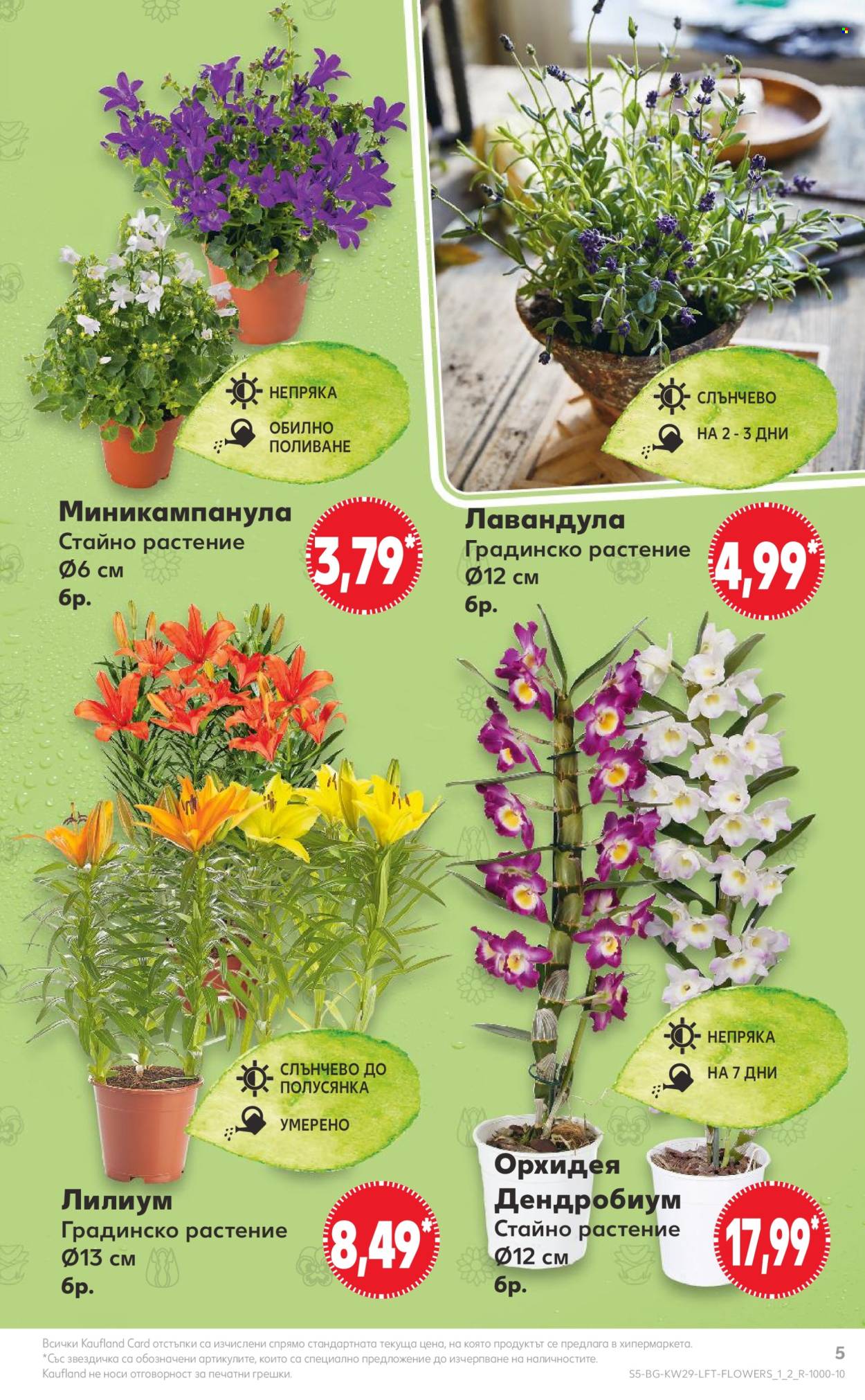 Брошура на Кауфланд - 15.07.2024 - 21.07.2024. Страница 5