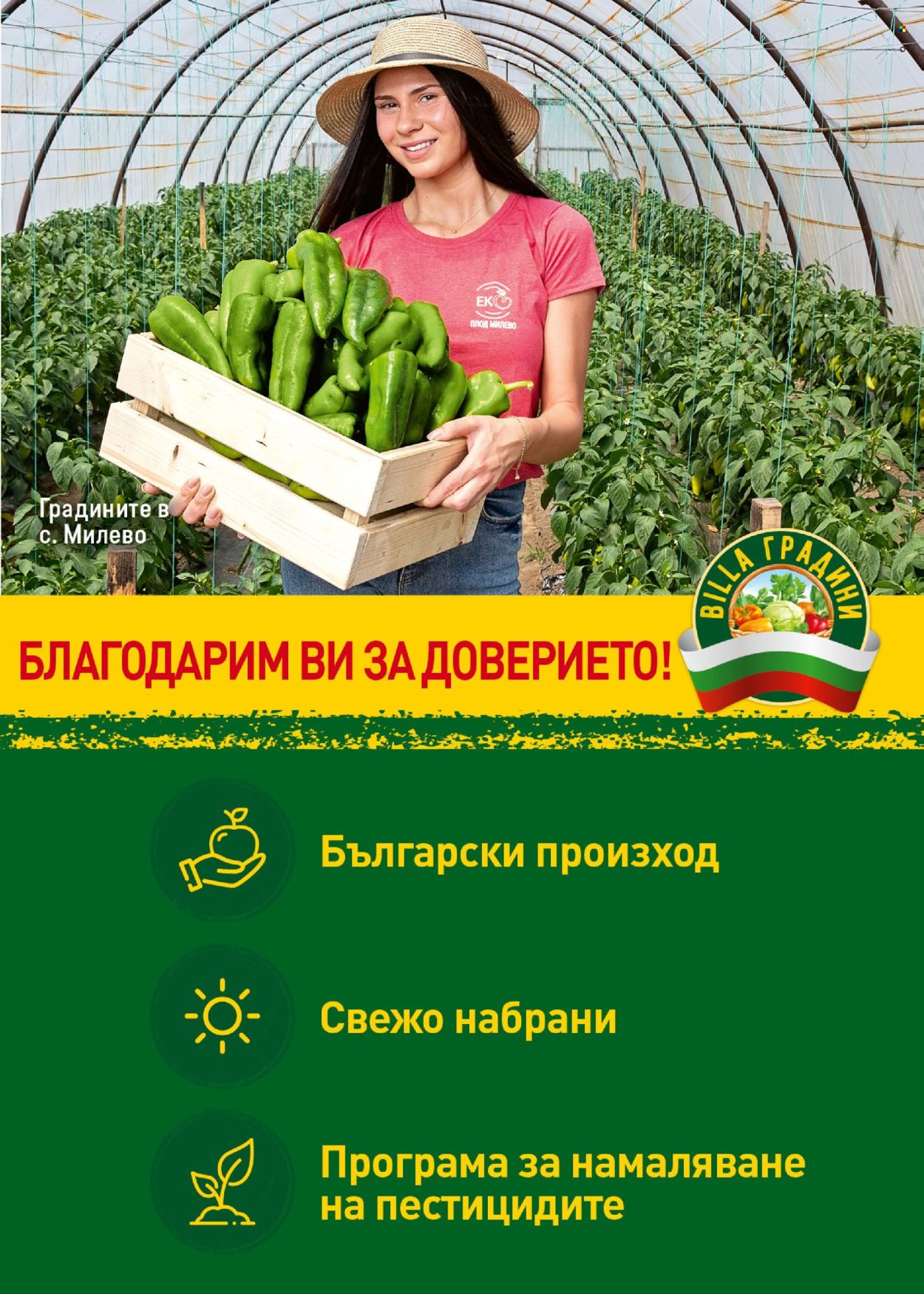 Брошура на BILLA - 18.07.2024 - 24.07.2024. Страница 9