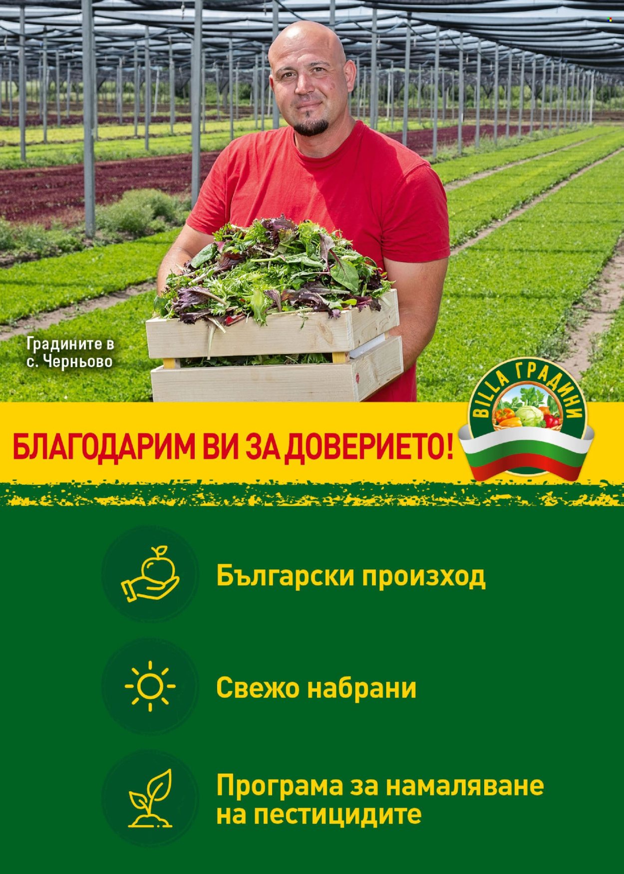 Брошура на BILLA - 08.08.2024 - 14.08.2024. Страница 9