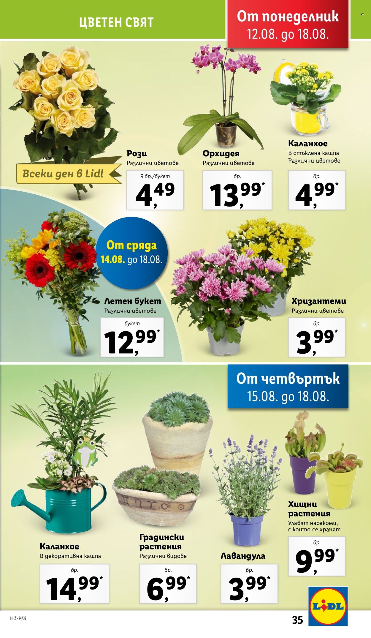 Брошура на Лидл - 12.08.2024 - 18.08.2024. Страница 35