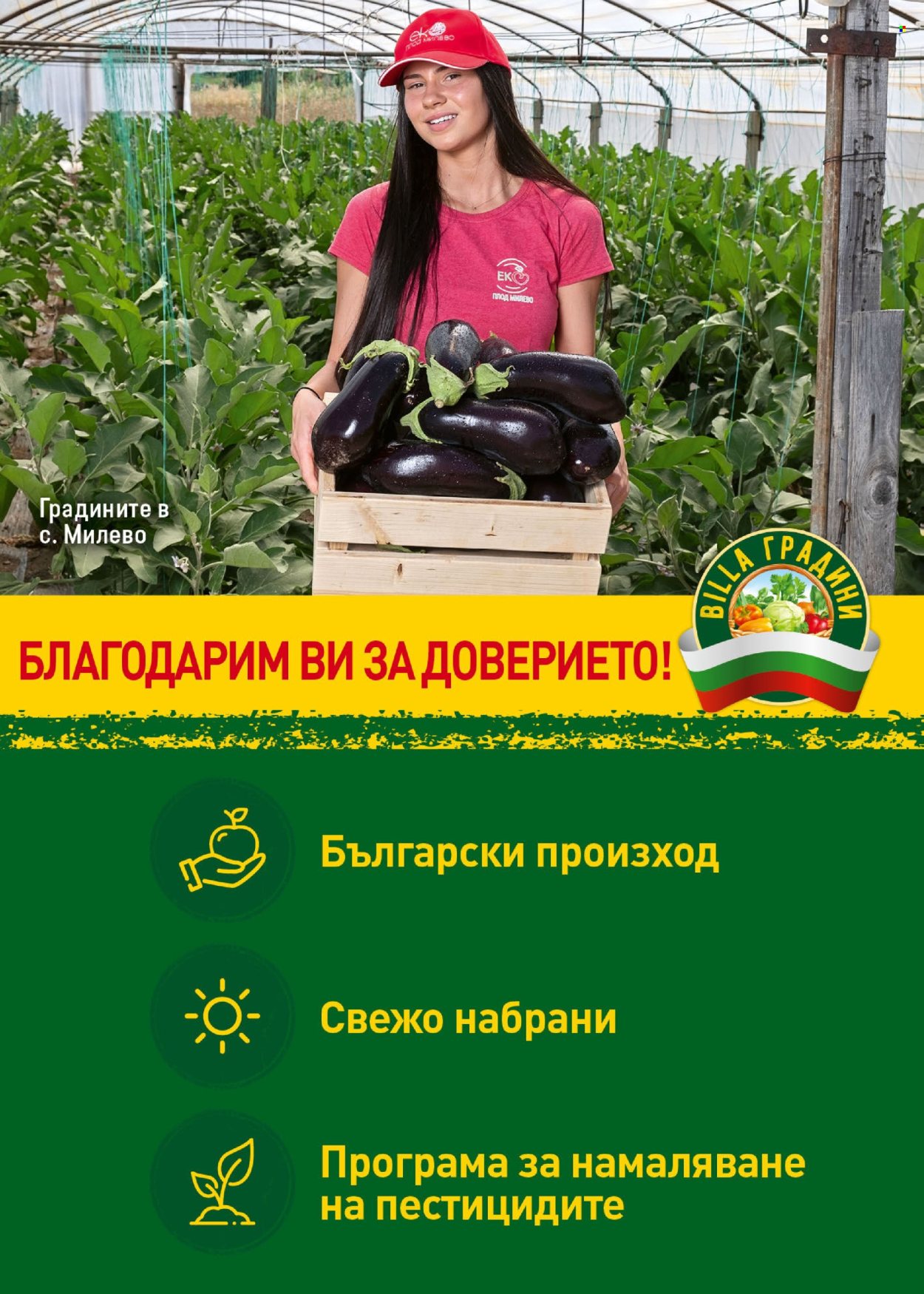 Брошура на BILLA - 15.08.2024 - 21.08.2024. Страница 9