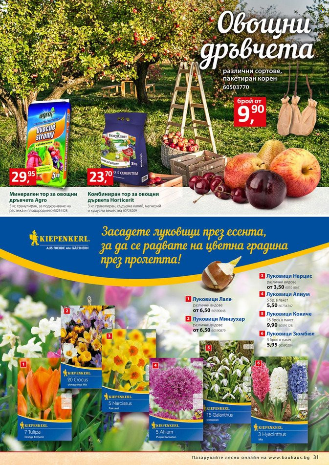 Брошура на BAUHAUS - 26.09.2024 - 09.10.2024. Страница 31