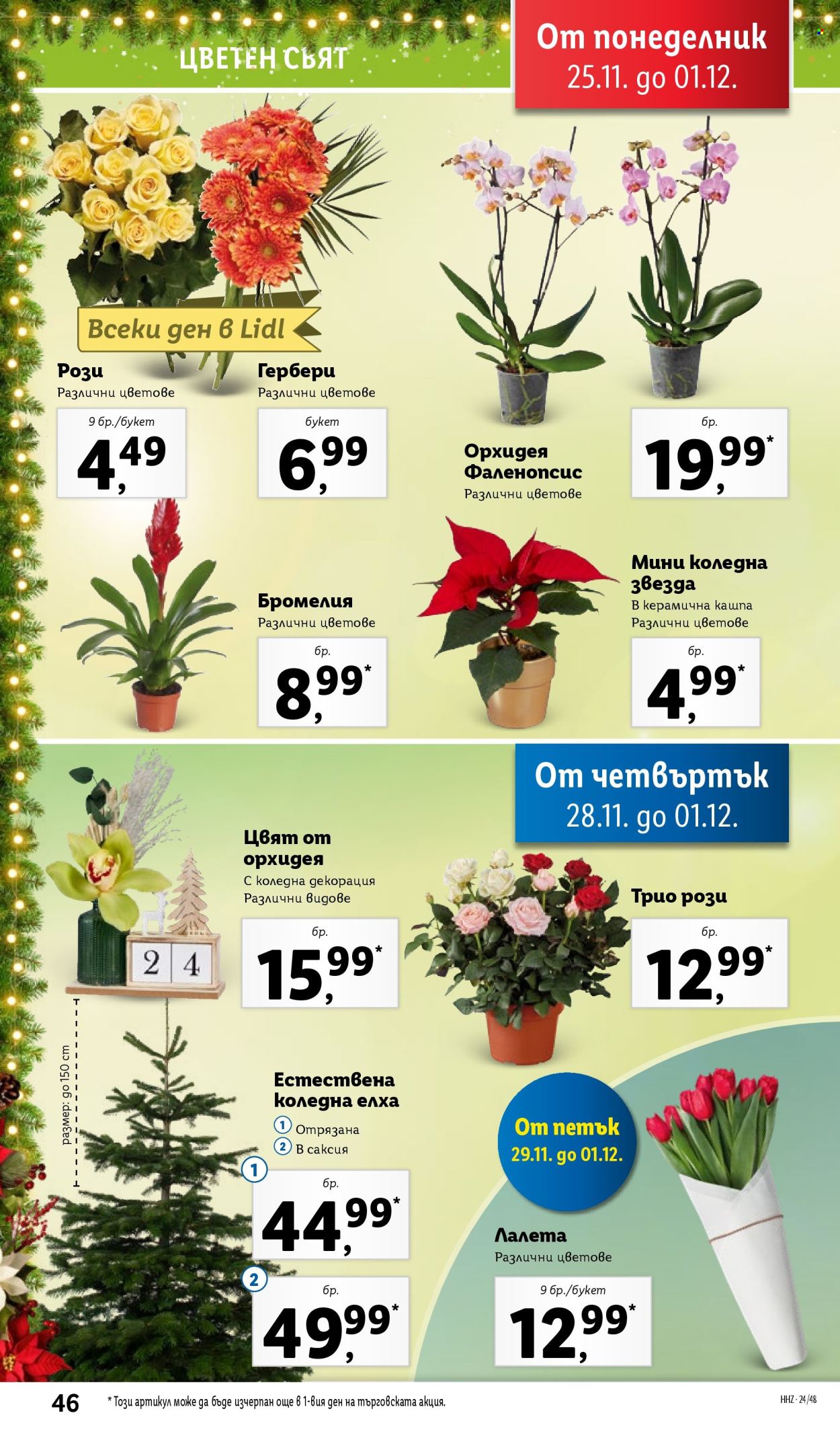 Брошура на Лидл - 25.11.2024 - 01.12.2024. Страница 46