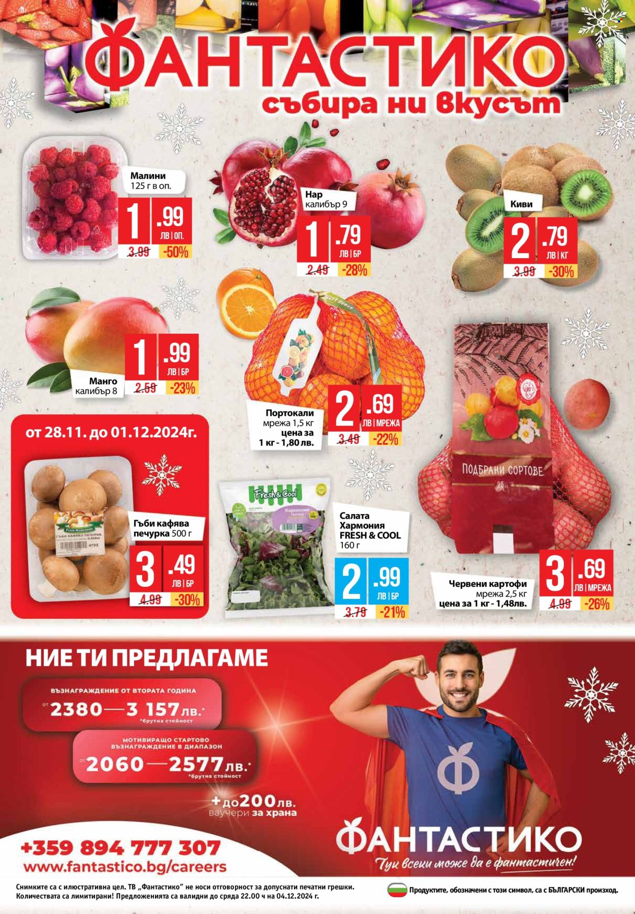 Брошура на Фантастико - 28.11.2024 - 04.12.2024. Страница 32