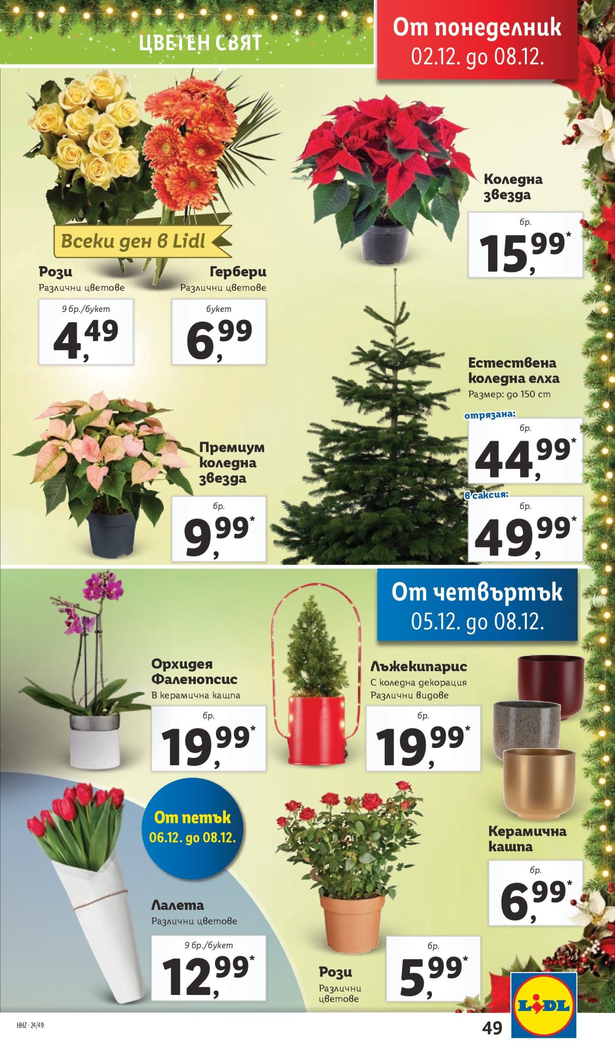 Брошура на Лидл - 02.12.2024 - 08.12.2024. Страница 49