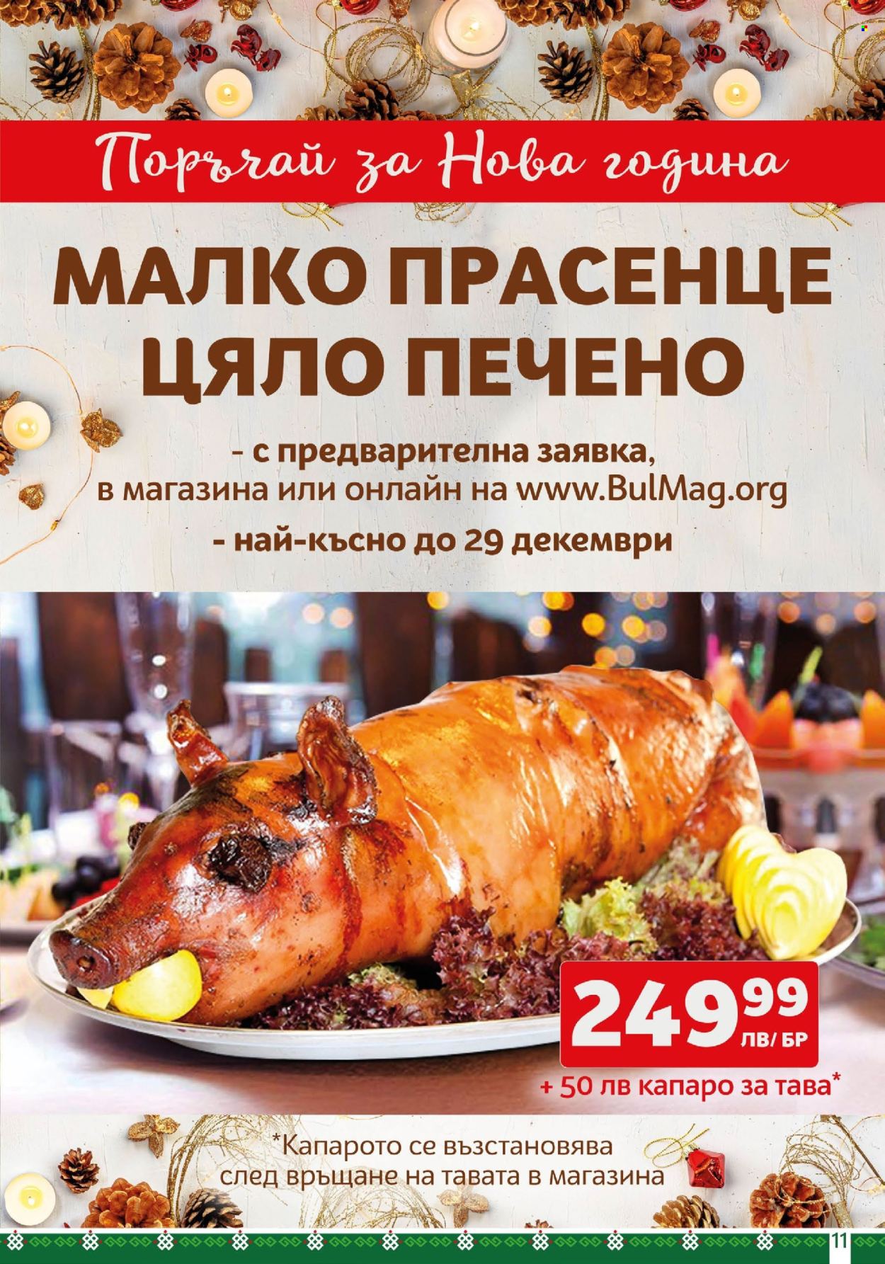 Брошура на BulMag - 16.12.2024 - 22.12.2024. Страница 11