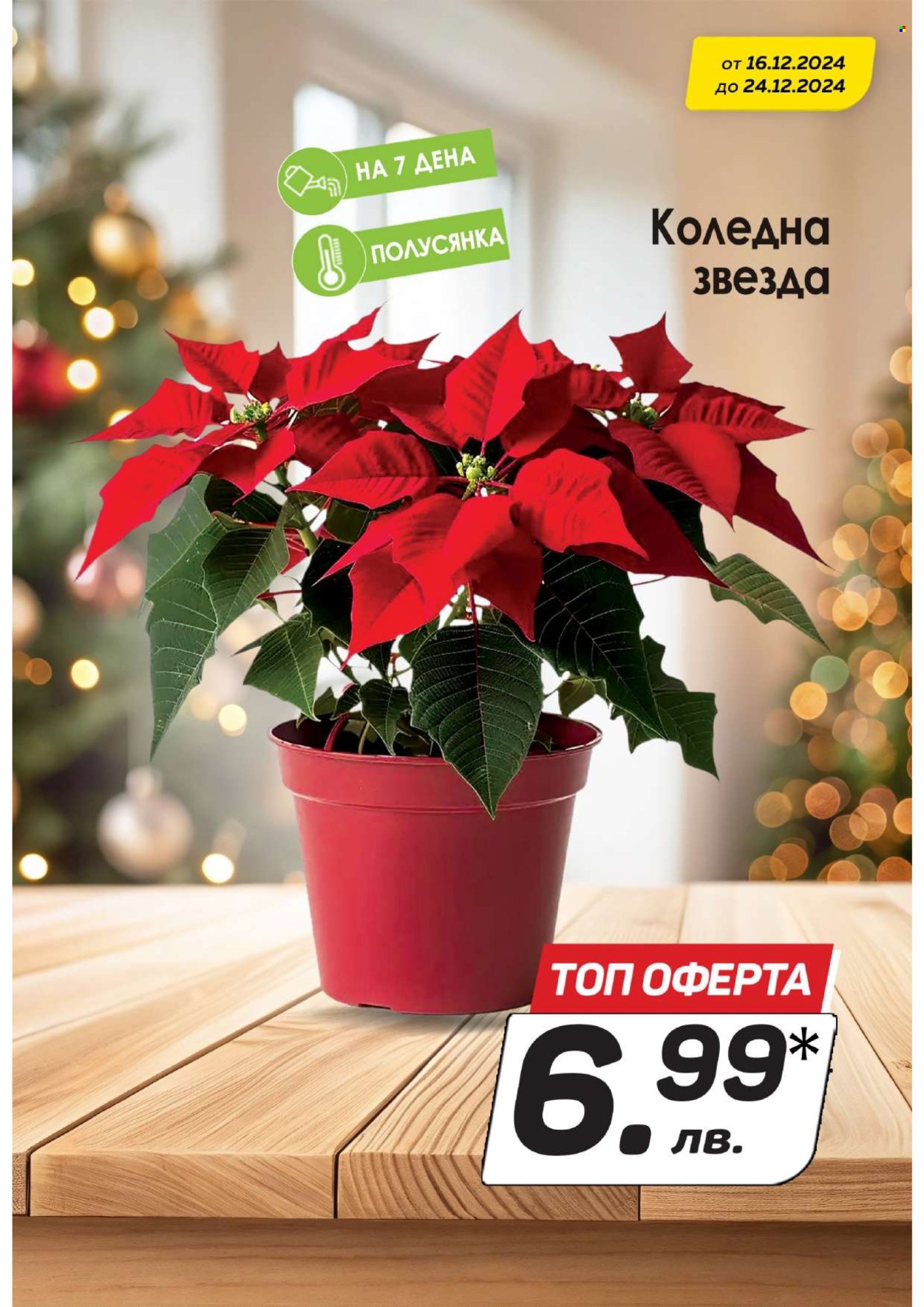 Брошура на КАМ Маркет - 16.12.2024 - 29.12.2024. Страница 7