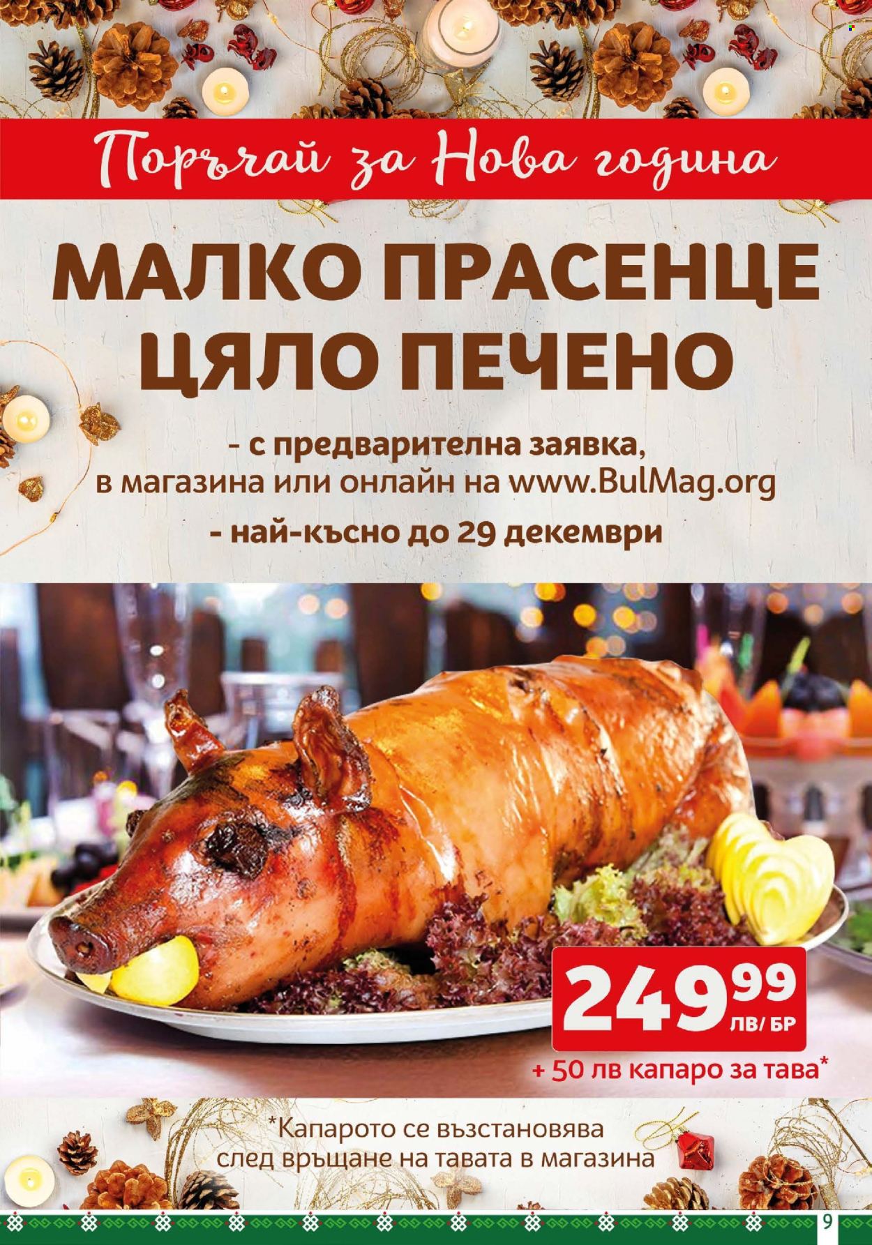 Брошура на BulMag - 23.12.2024 - 30.12.2024. Страница 9