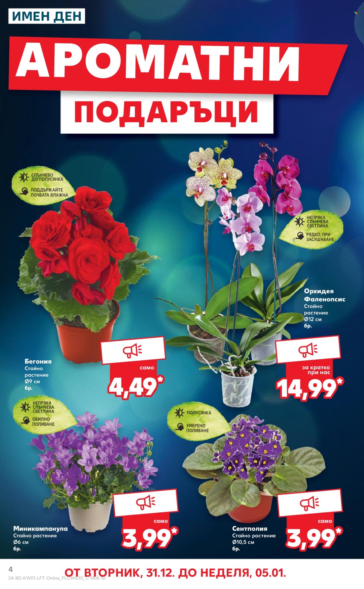 Брошура на Кауфланд - 30.12.2024 - 05.01.2025. Страница 4