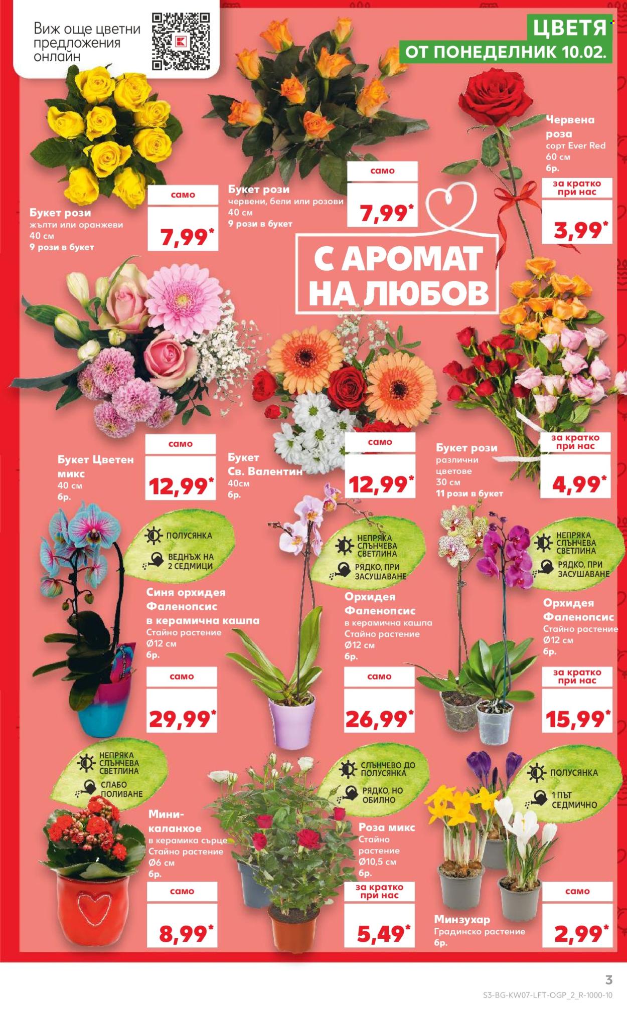 Брошура на Кауфланд - 10.02.2025 - 16.02.2025. Страница 3