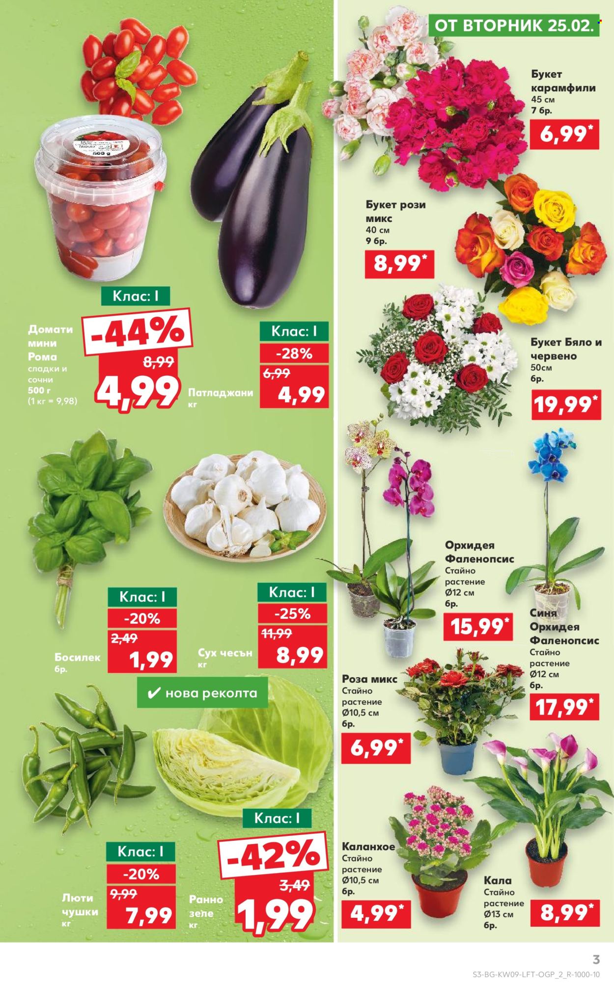 Брошура на Кауфланд - 24.02.2025 - 02.03.2025. Страница 3