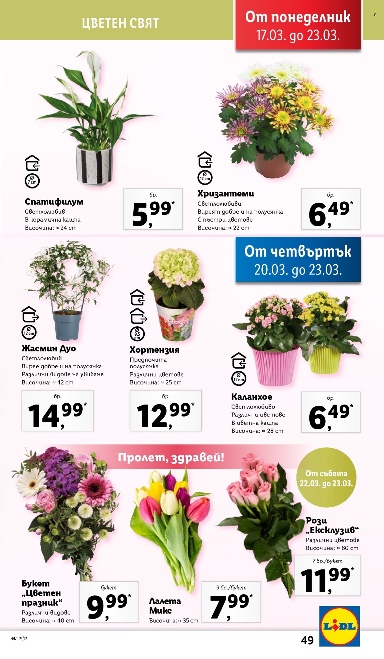 Брошура на Лидл - 17.03.2025 - 23.03.2025. Страница 49