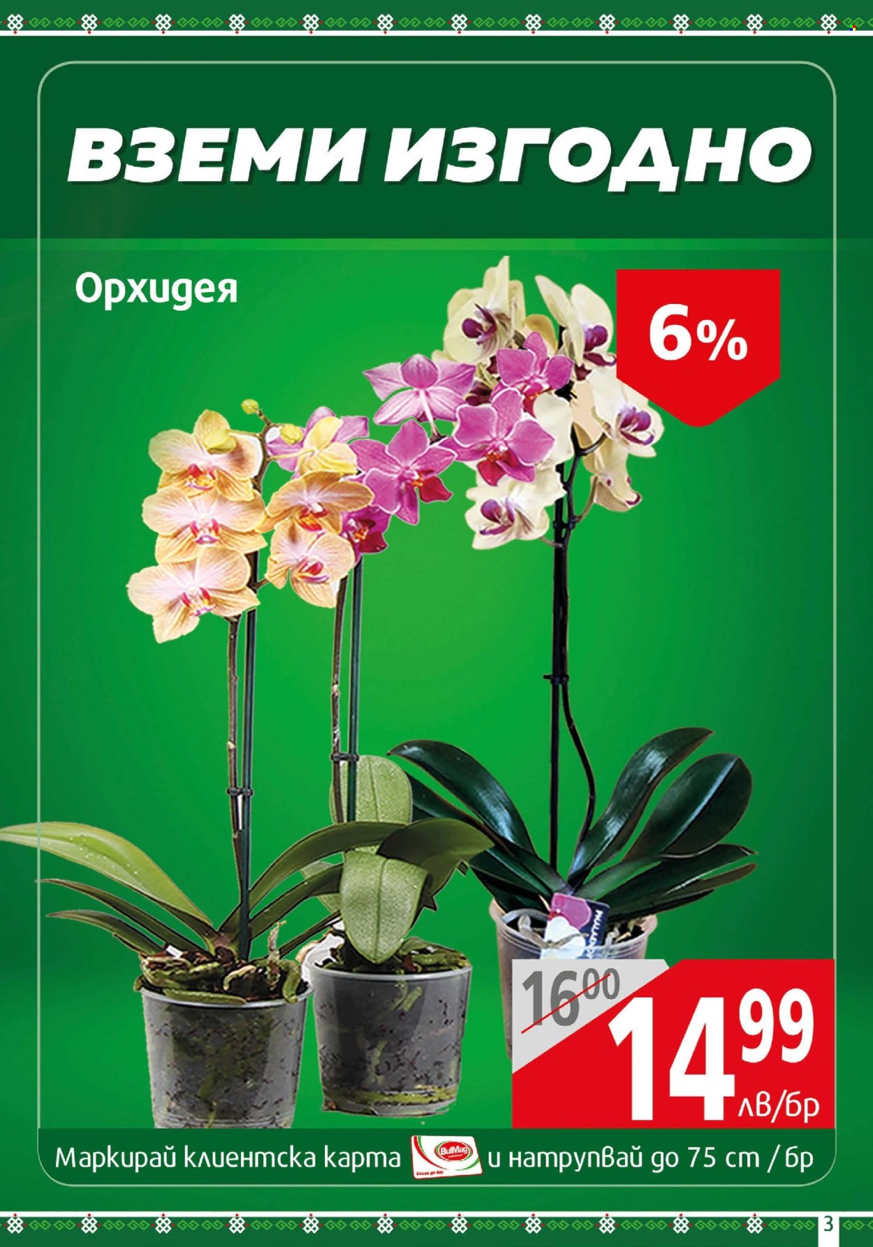Брошура на BulMag - 17.03.2025 - 23.03.2025. Страница 3