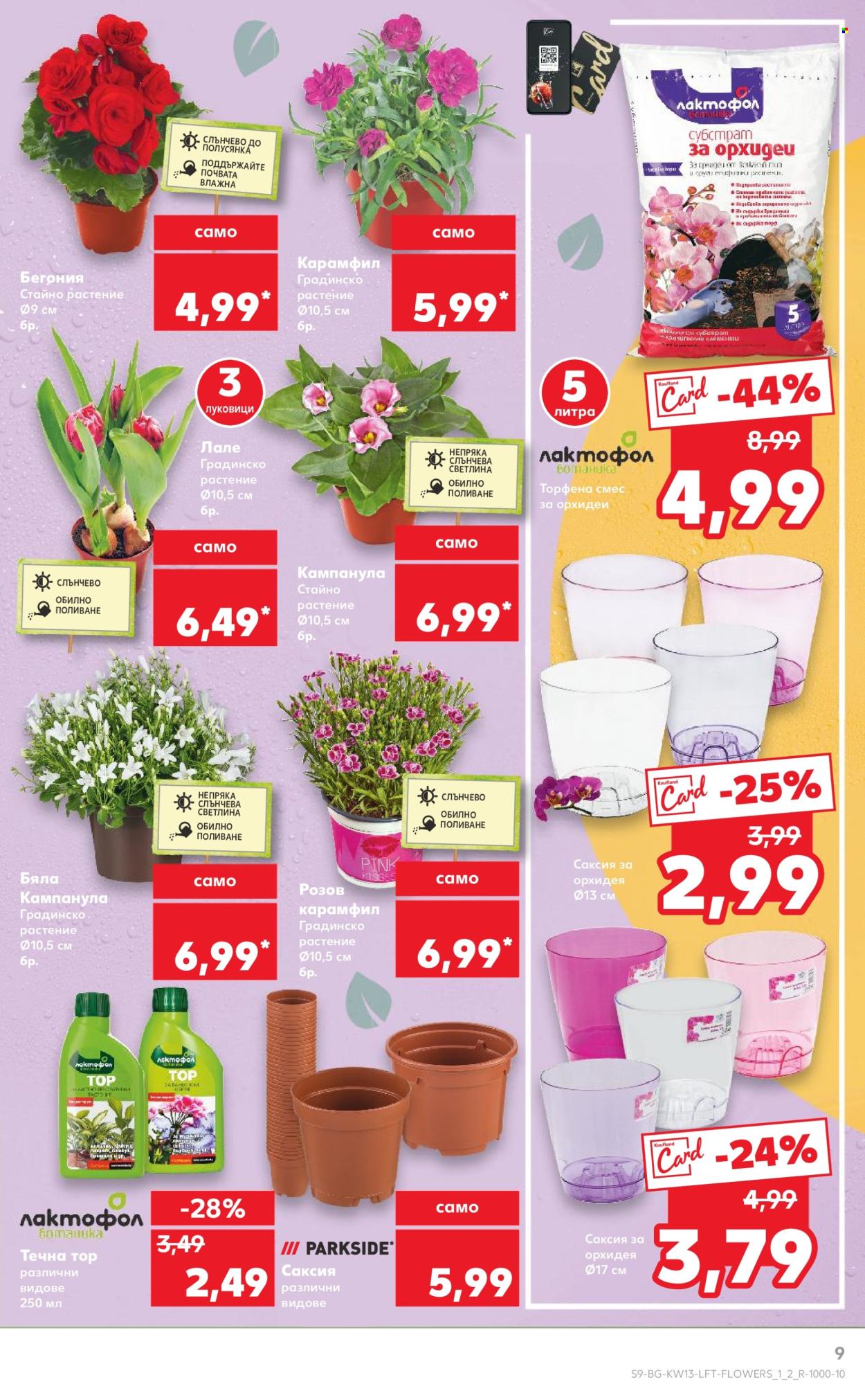 Брошура на Кауфланд - 24.03.2025 - 30.03.2025. Страница 9