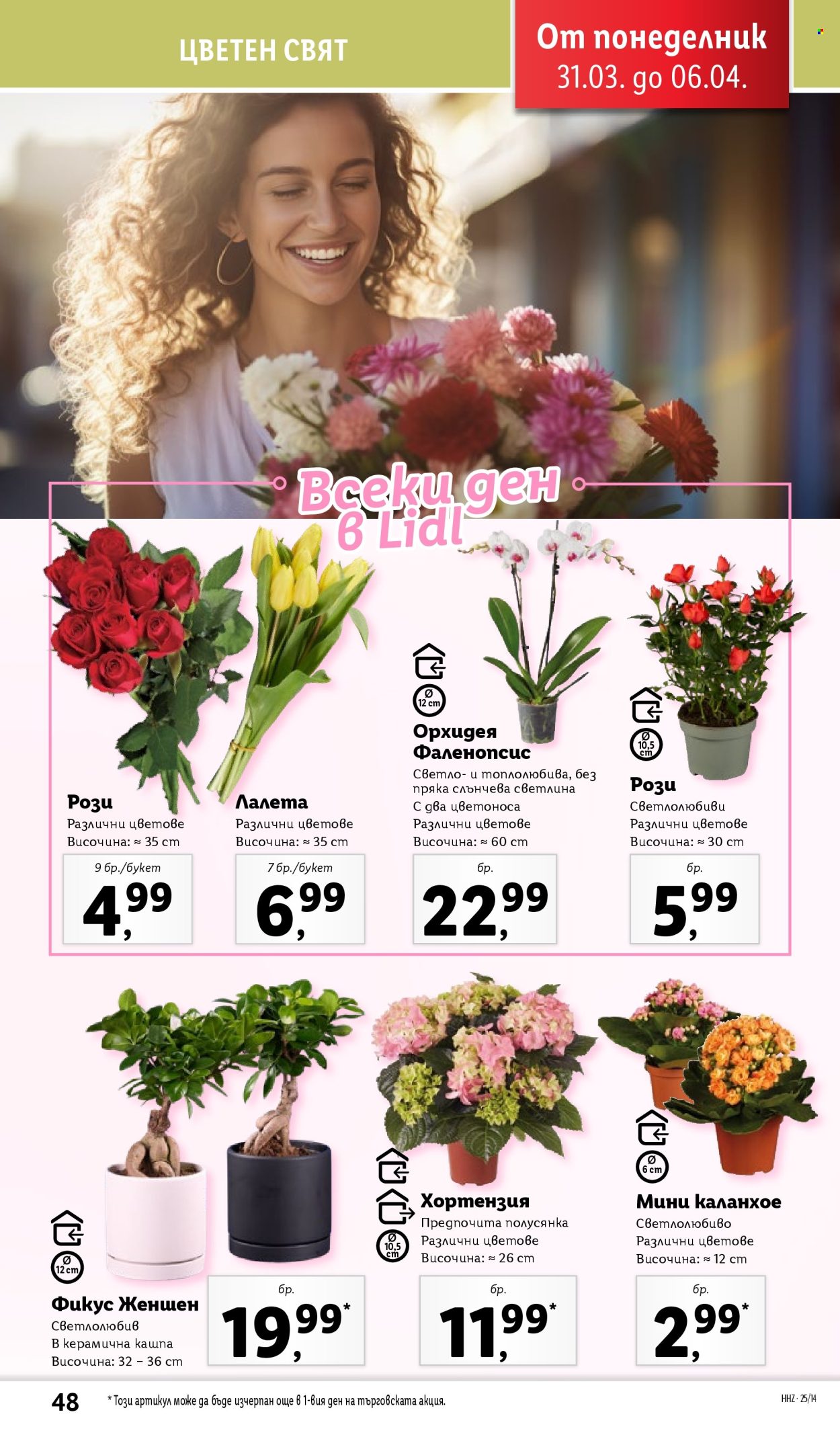 Брошура на Лидл - 31.03.2025 - 06.04.2025. Страница 48