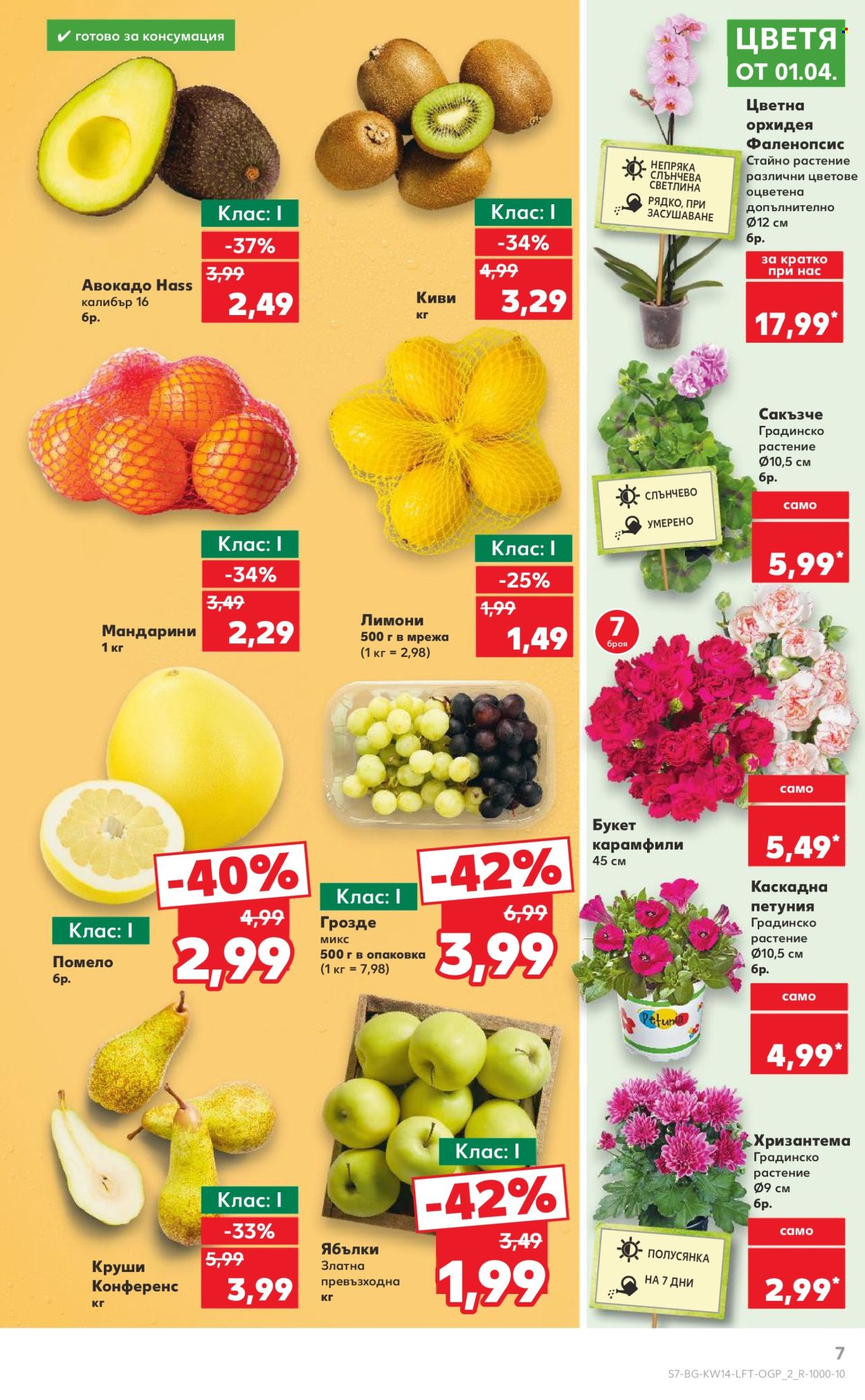 Брошура на Кауфланд - 31.03.2025 - 06.04.2025. Страница 7