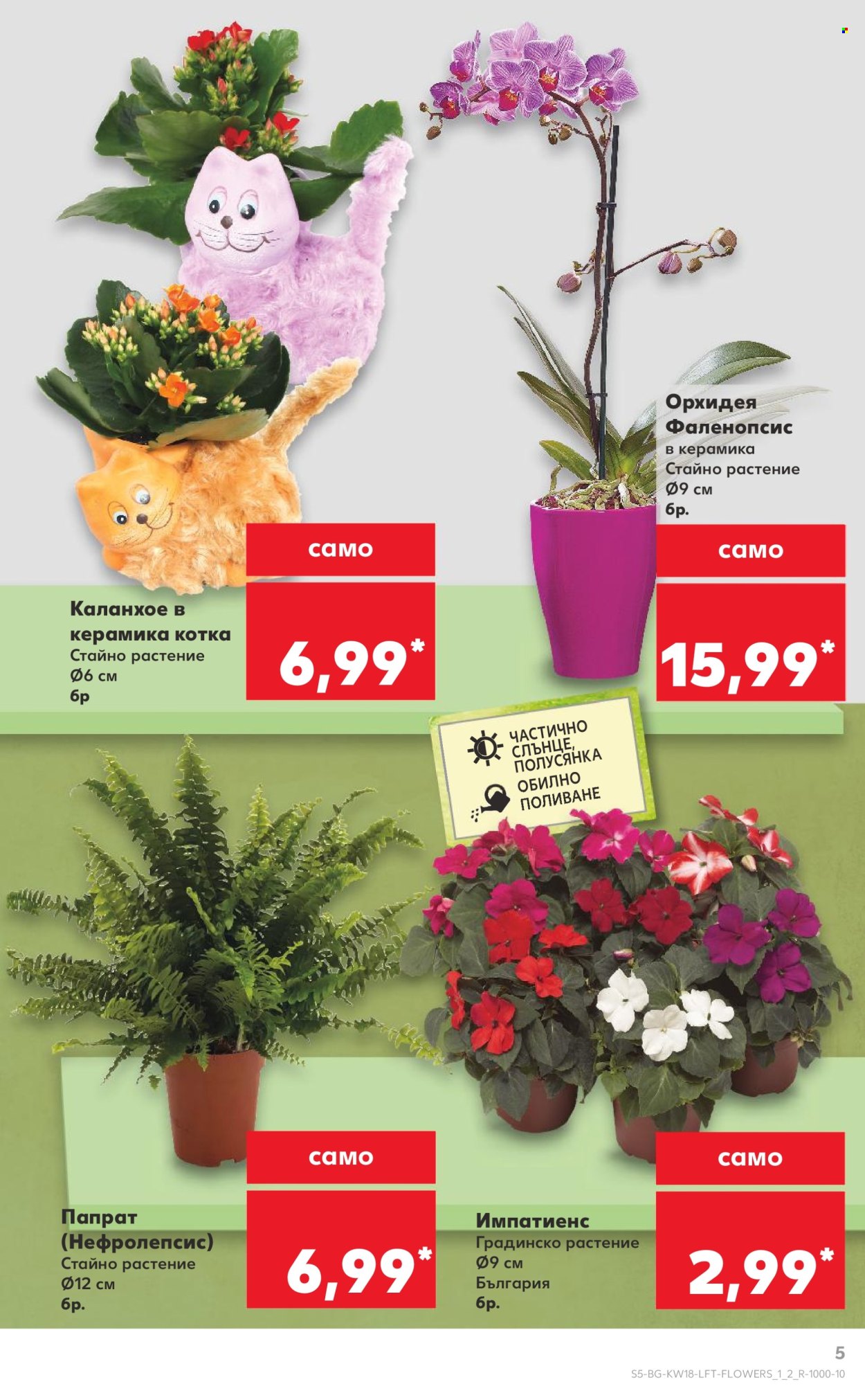 Брошура на Кауфланд - 28.04.2025 - 04.05.2025. Страница 5