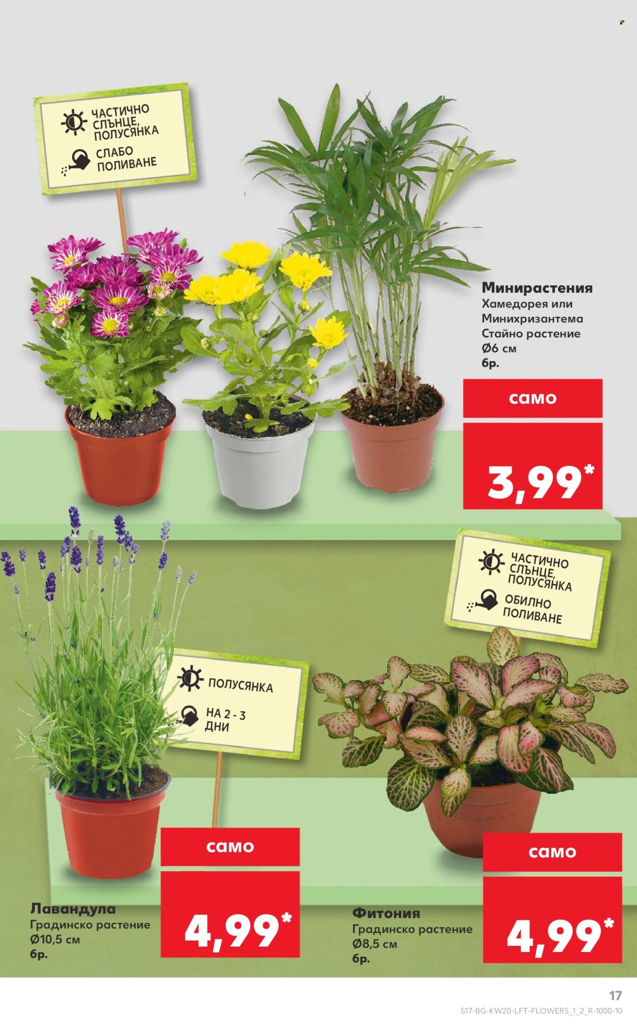 Брошура на Кауфланд - 12.05.2025 - 18.05.2025. Страница 17