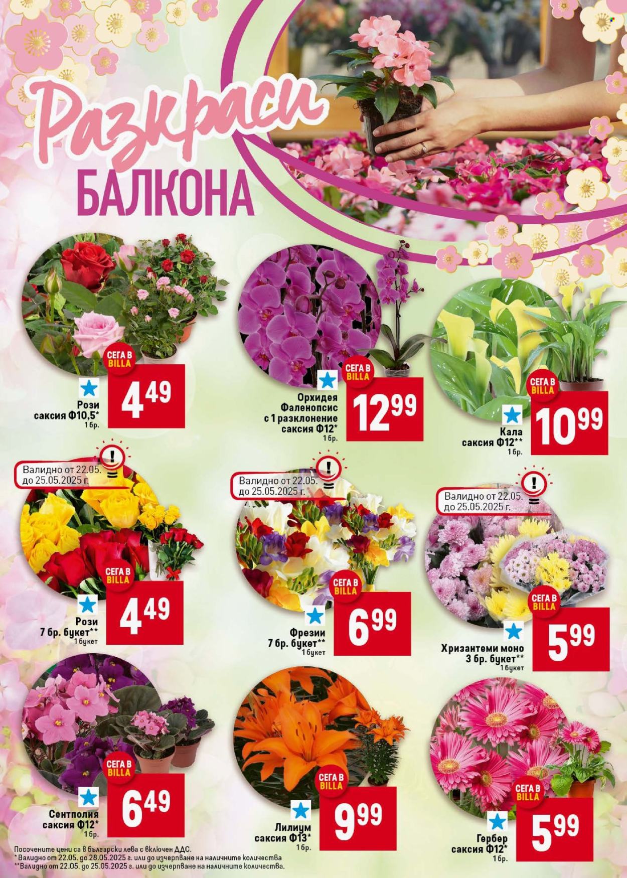 Брошура на BILLA - 22.05.2025 - 28.05.2025. Страница 9