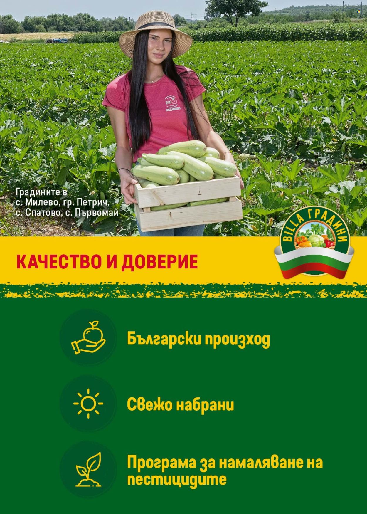 Брошура на BILLA - 19.06.2025 - 25.06.2025. Страница 11