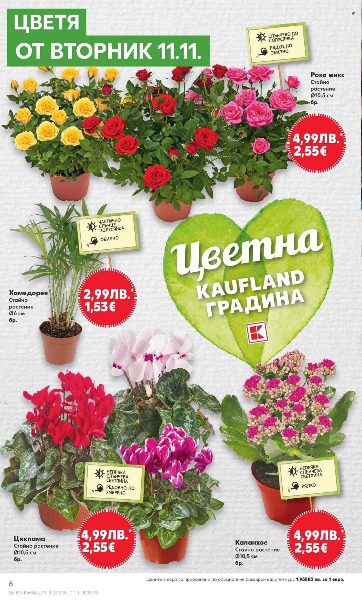 Брошура на Кауфланд - 10.11.2025 - 16.11.2025. Страница 6