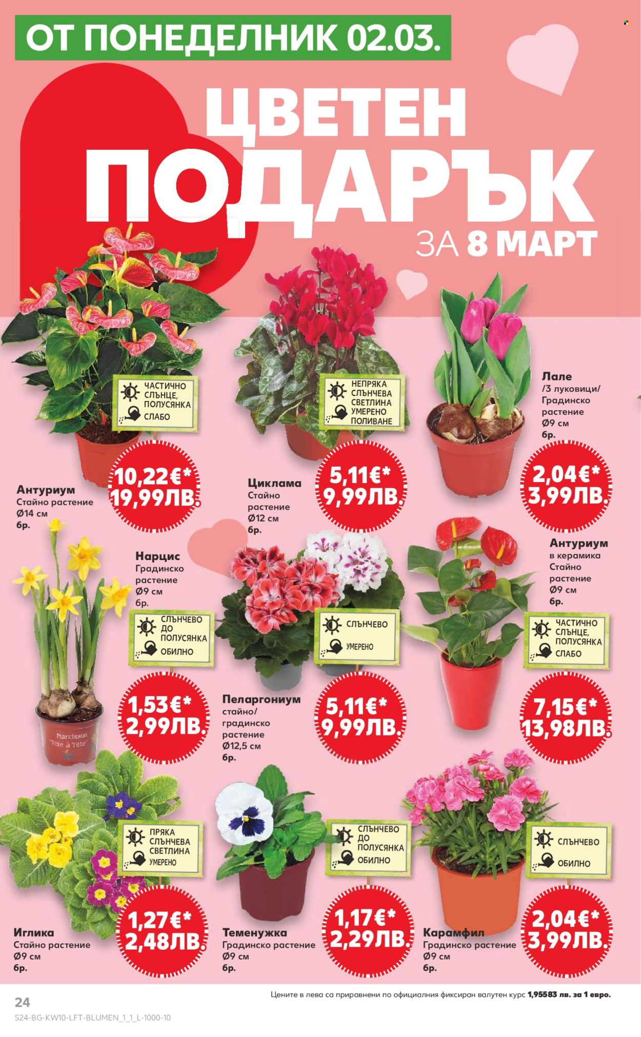 Брошура на Кауфланд - 02.03.2026 - 08.03.2026. Страница 24