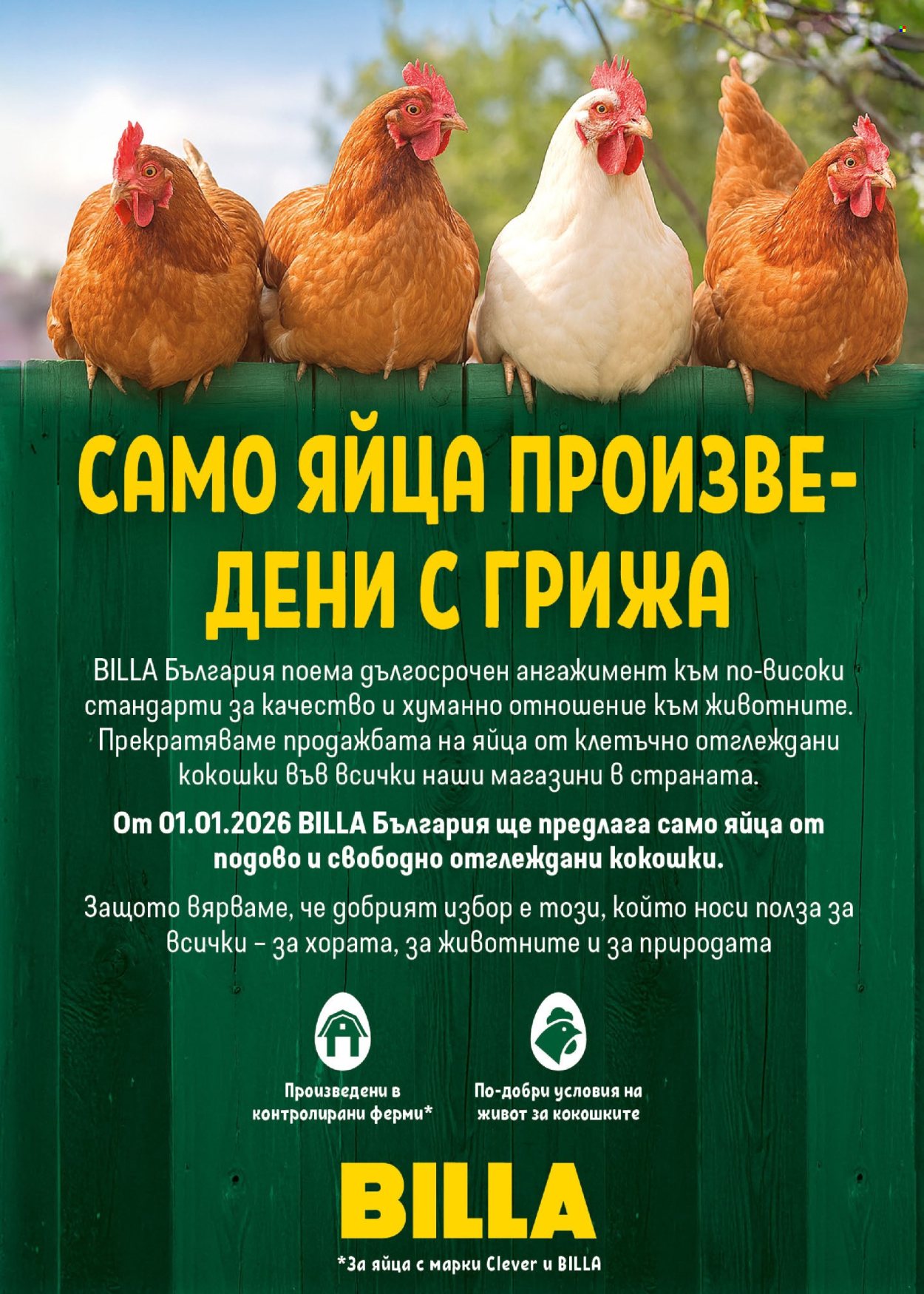 Брошура на BILLA - 16.04.2026 - 22.04.2026. Страница 19