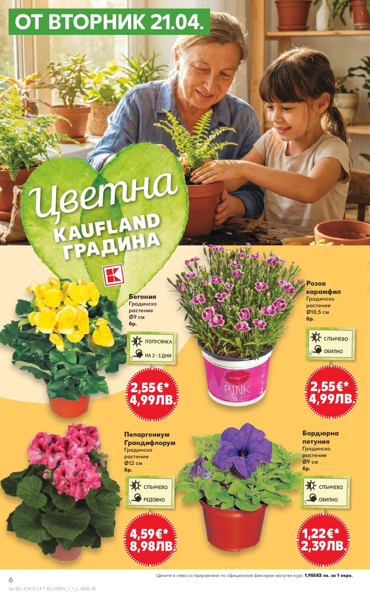 Брошура на Кауфланд - 20.04.2026 - 26.04.2026. Страница 6