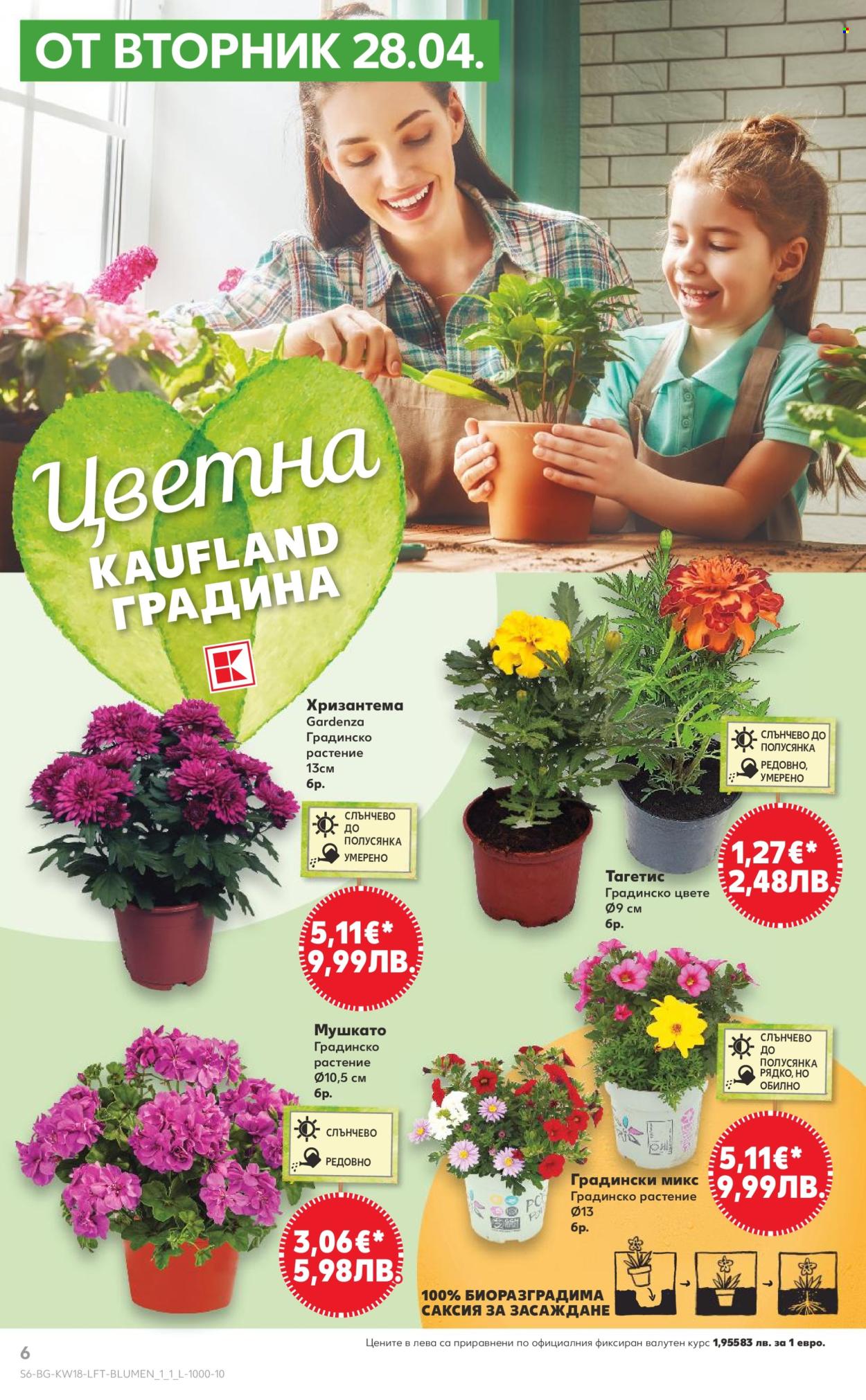 Брошура на Кауфланд - 27.04.2026 - 03.05.2026. Страница 6