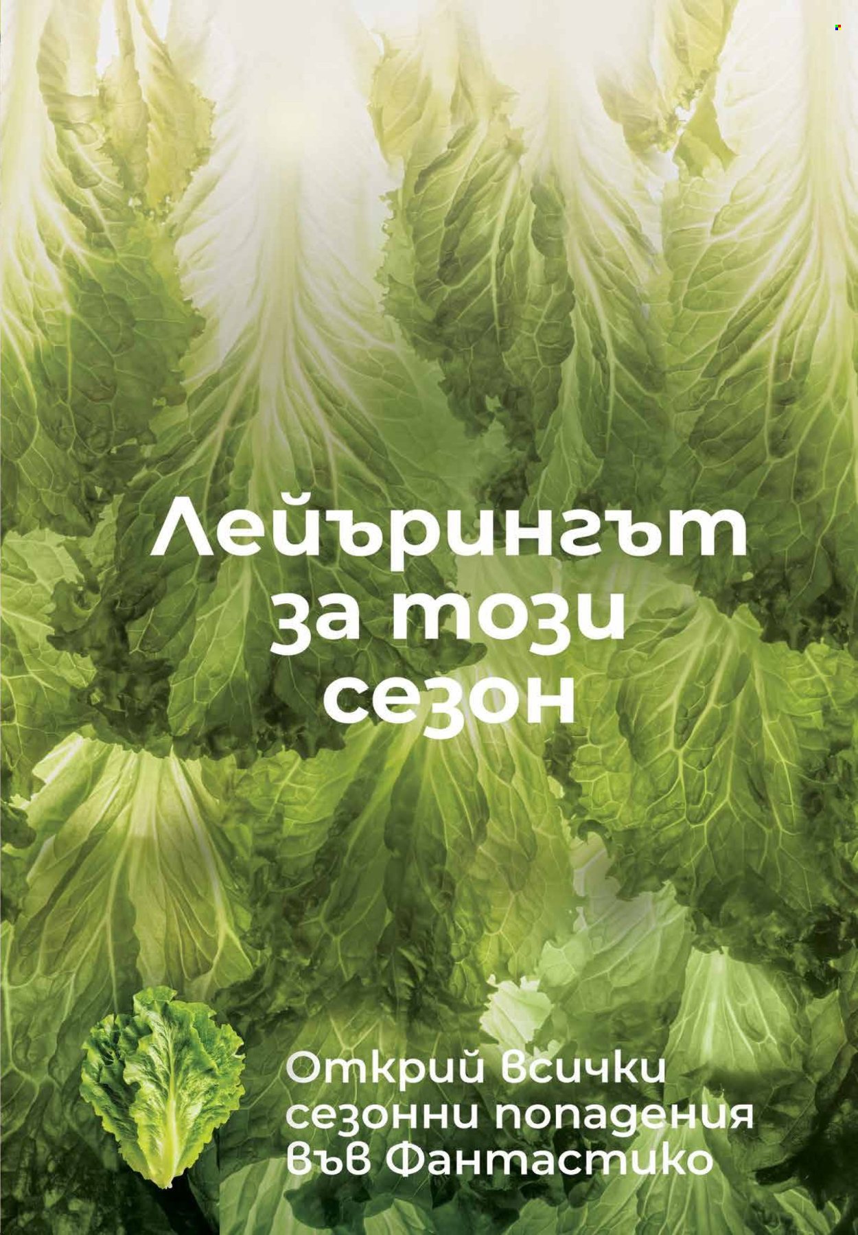 Брошура на Фантастико - 04.06.2026 - 10.06.2026. Страница 5