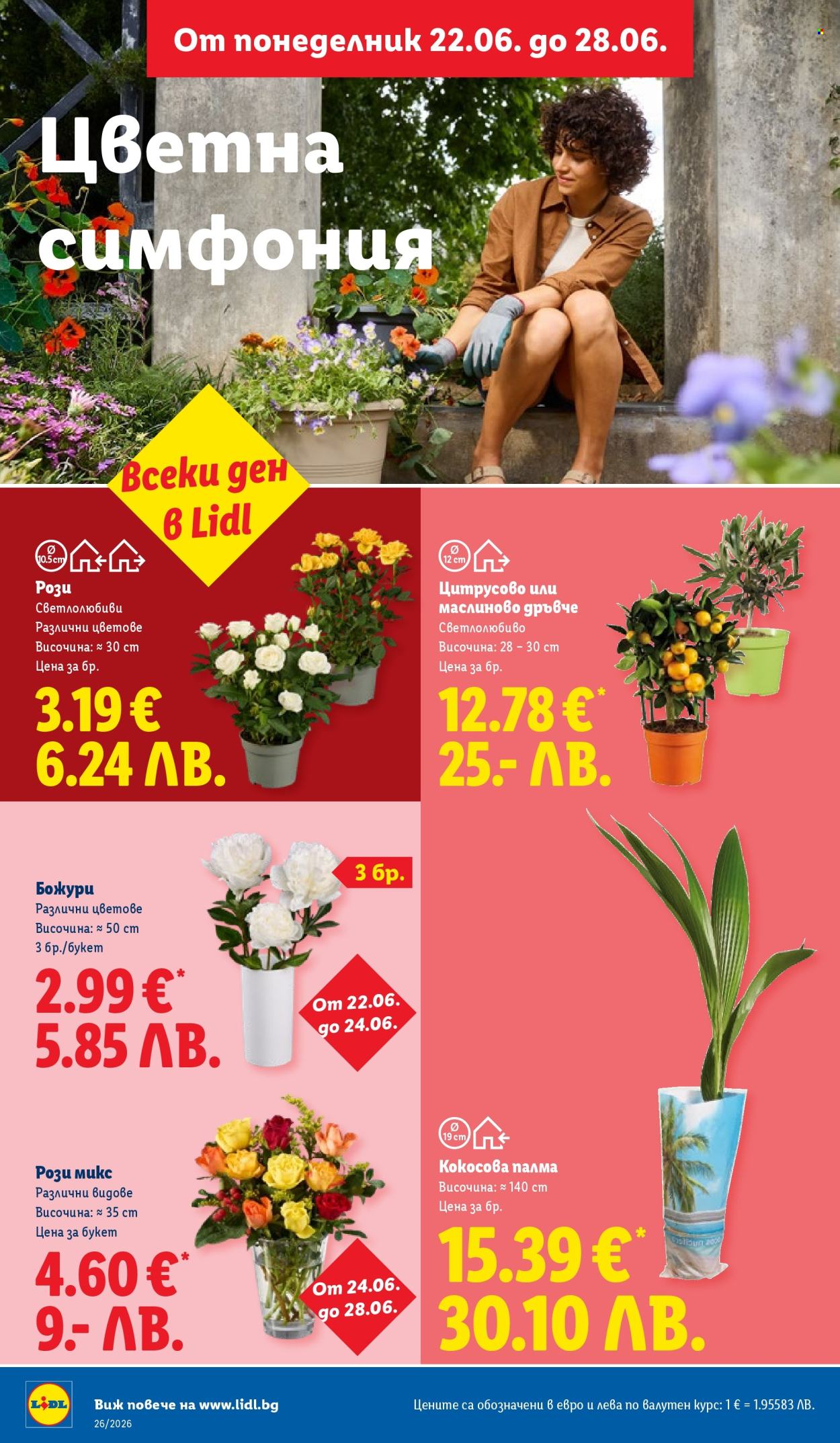 Брошура на Лидл - 22.06.2026 - 28.06.2026. Страница 48