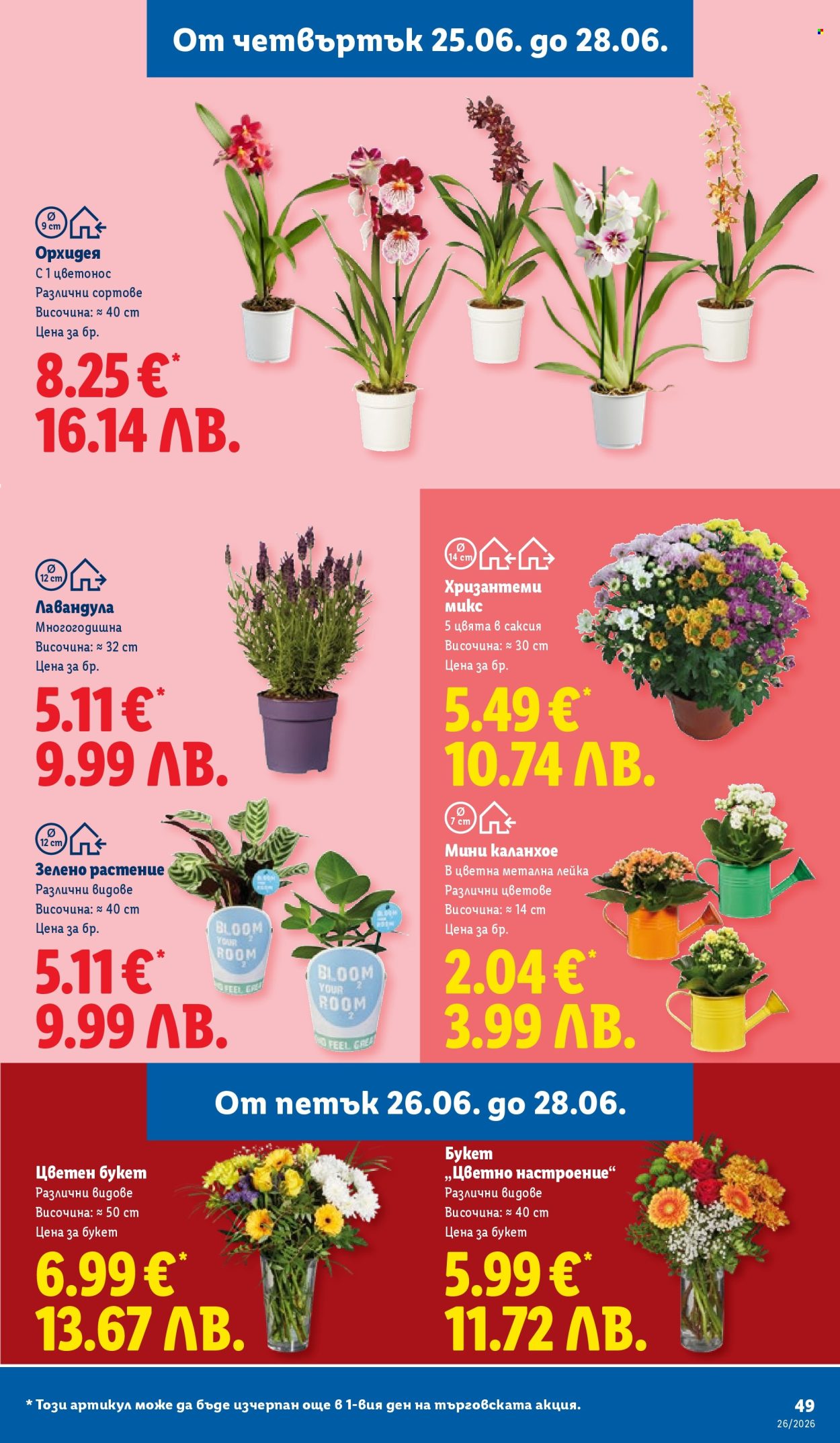 Брошура на Лидл - 22.06.2026 - 28.06.2026. Страница 49