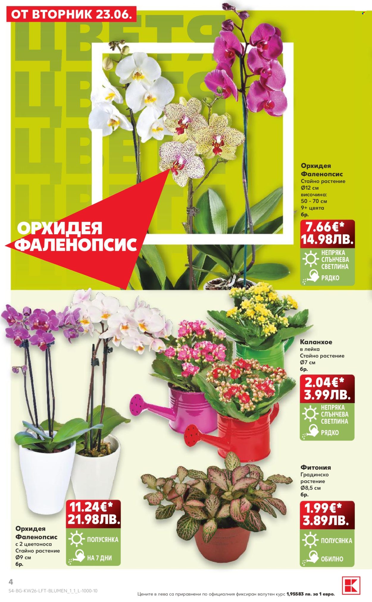 Брошура на Кауфланд - 22.06.2026 - 28.06.2026. Страница 4