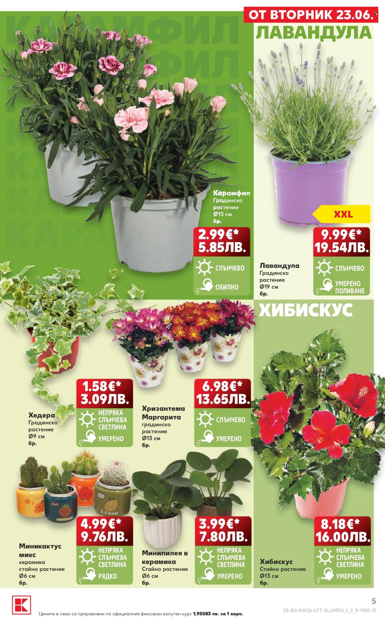 Брошура на Кауфланд - 22.06.2026 - 28.06.2026. Страница 5