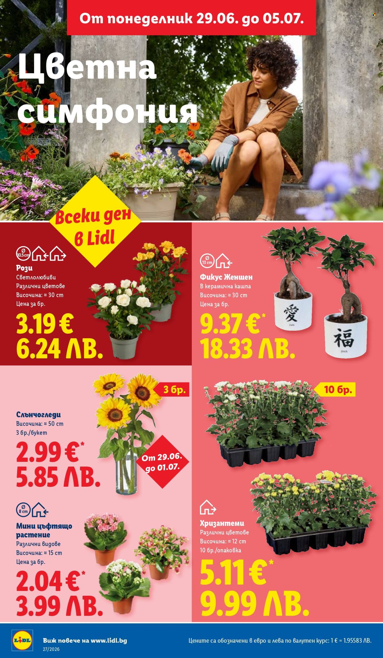 Брошура на Лидл - 29.06.2026 - 05.07.2026. Страница 48