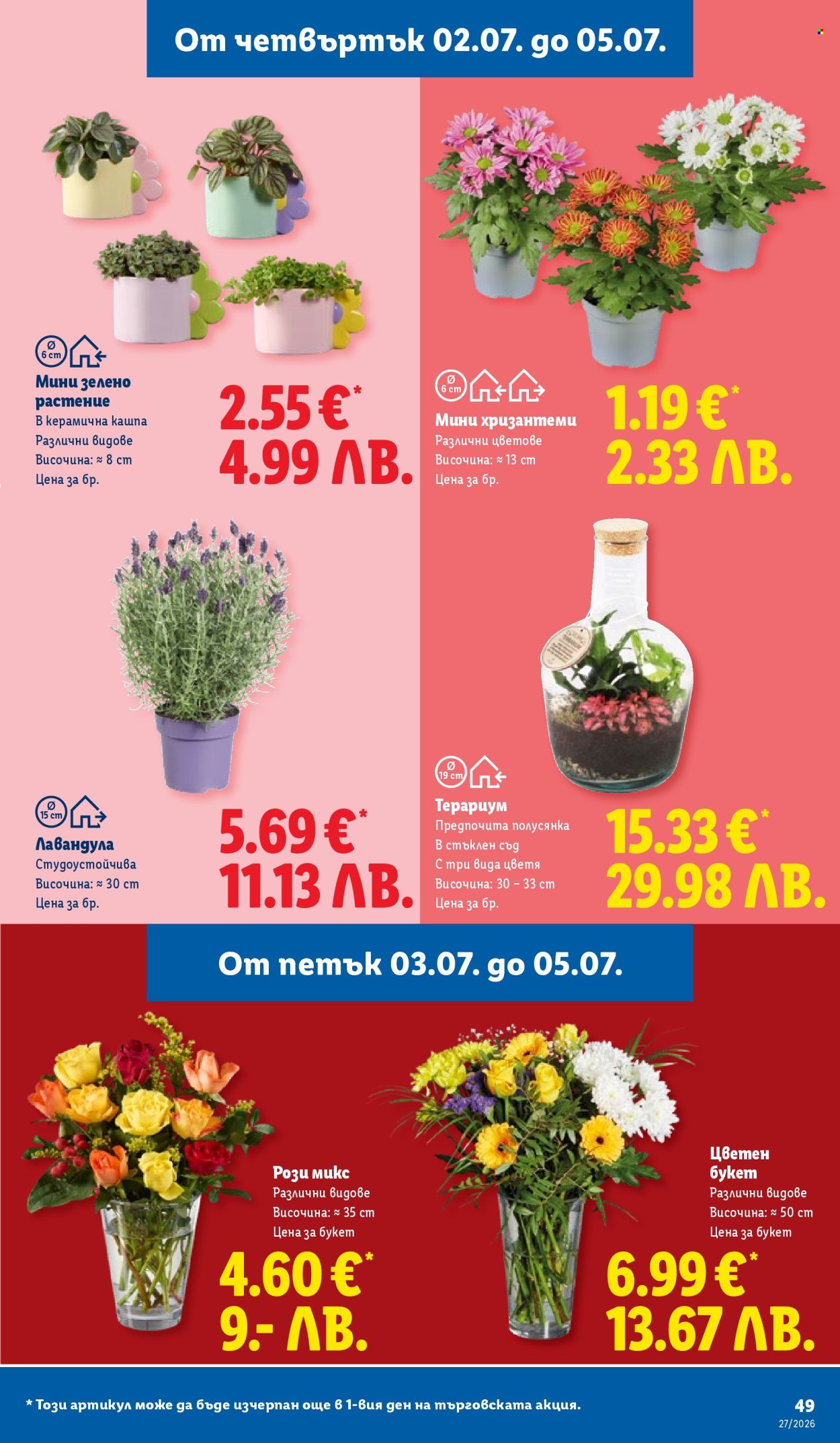 Брошура на Лидл - 29.06.2026 - 05.07.2026. Страница 49