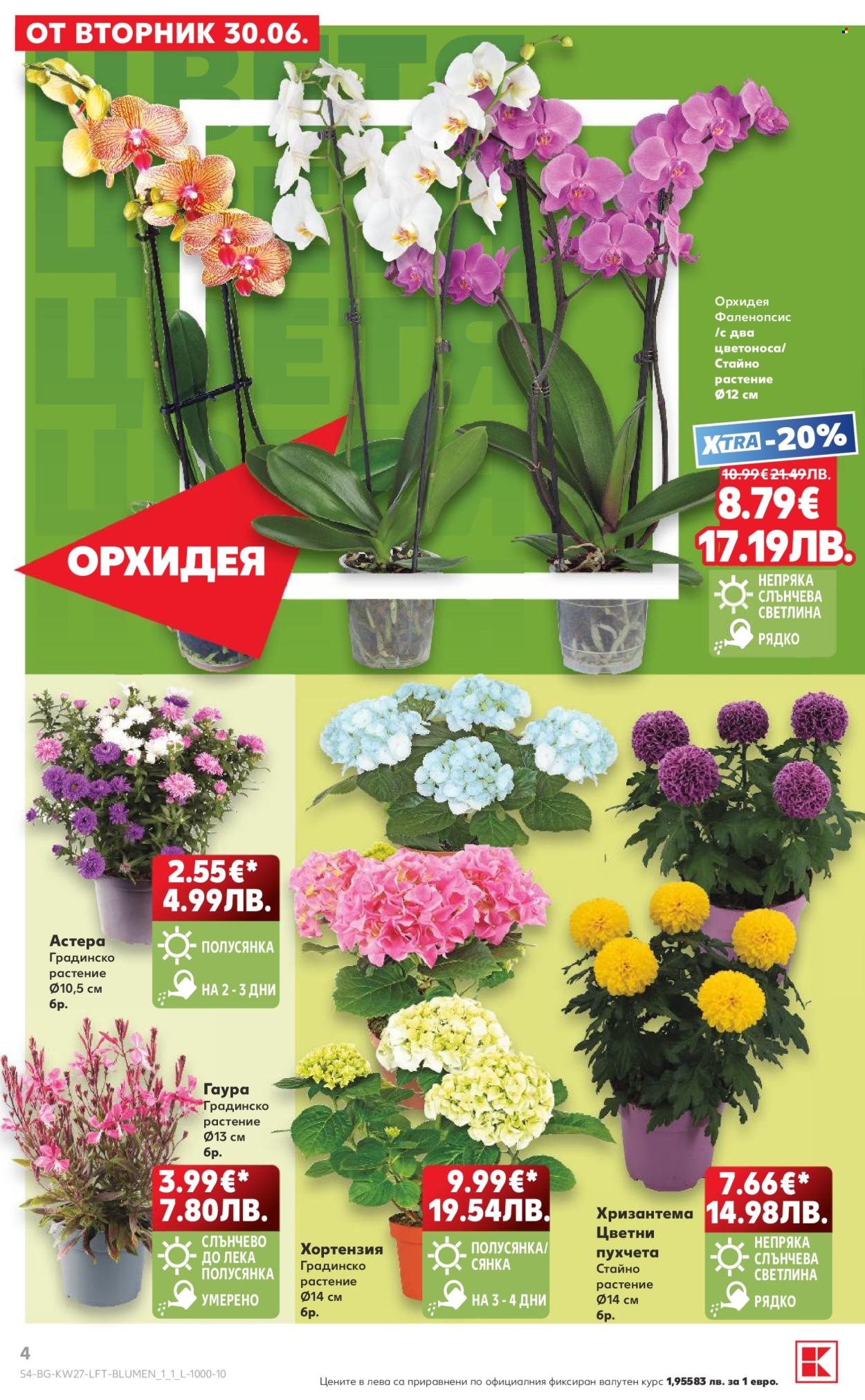 Брошура на Кауфланд - 29.06.2026 - 05.07.2026. Страница 4