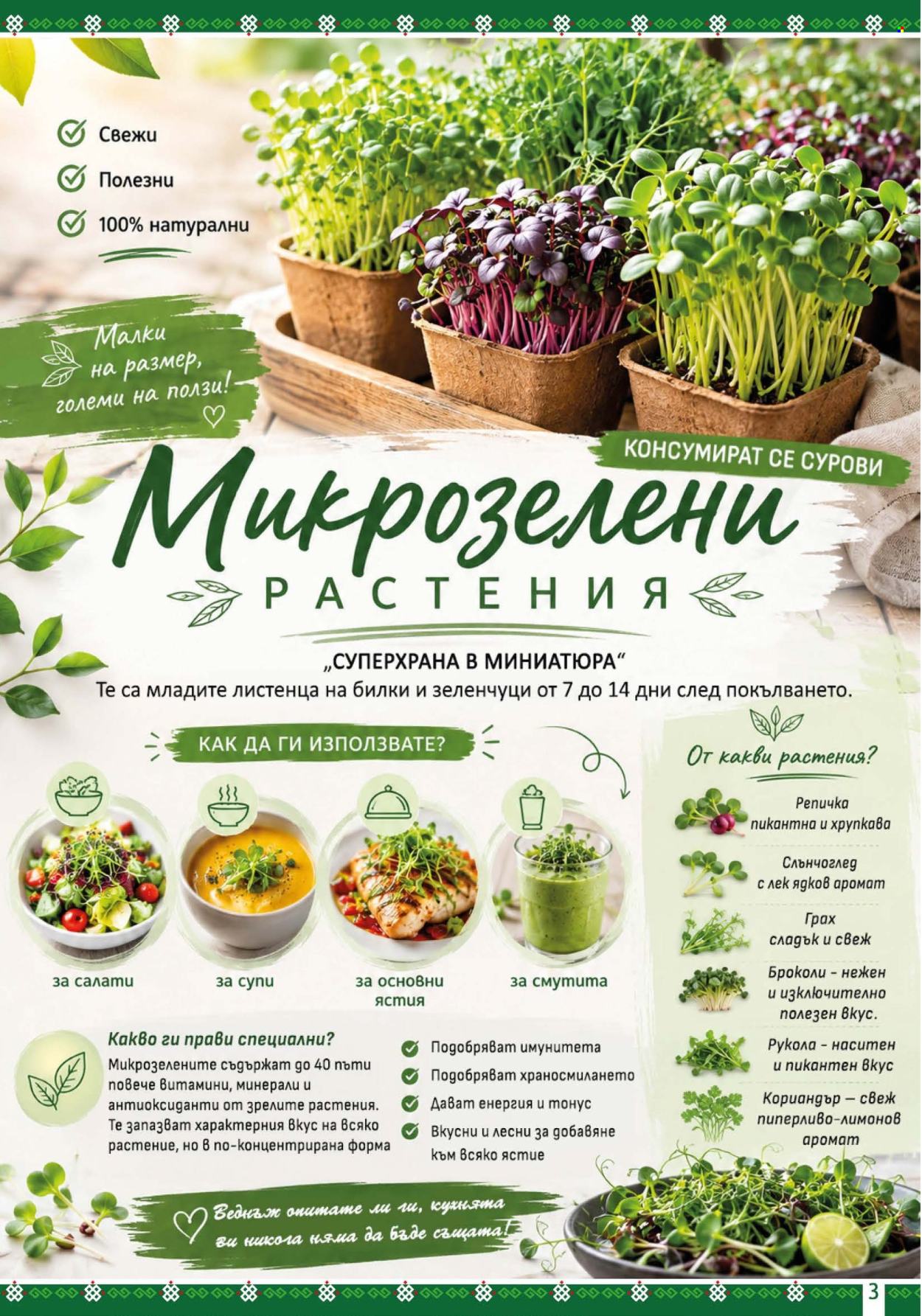 Брошура на BulMag - 29.06.2026 - 05.07.2026. Страница 3