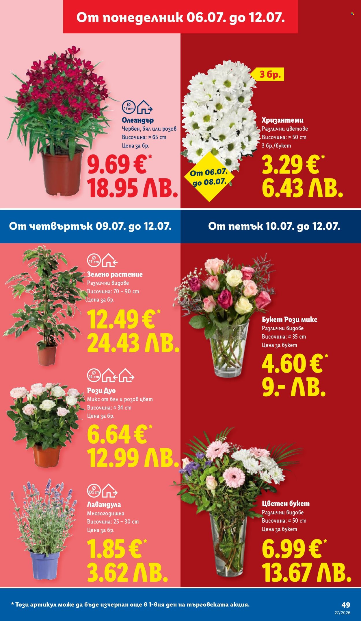 Брошура на Лидл - 06.07.2026 - 12.07.2026. Страница 49