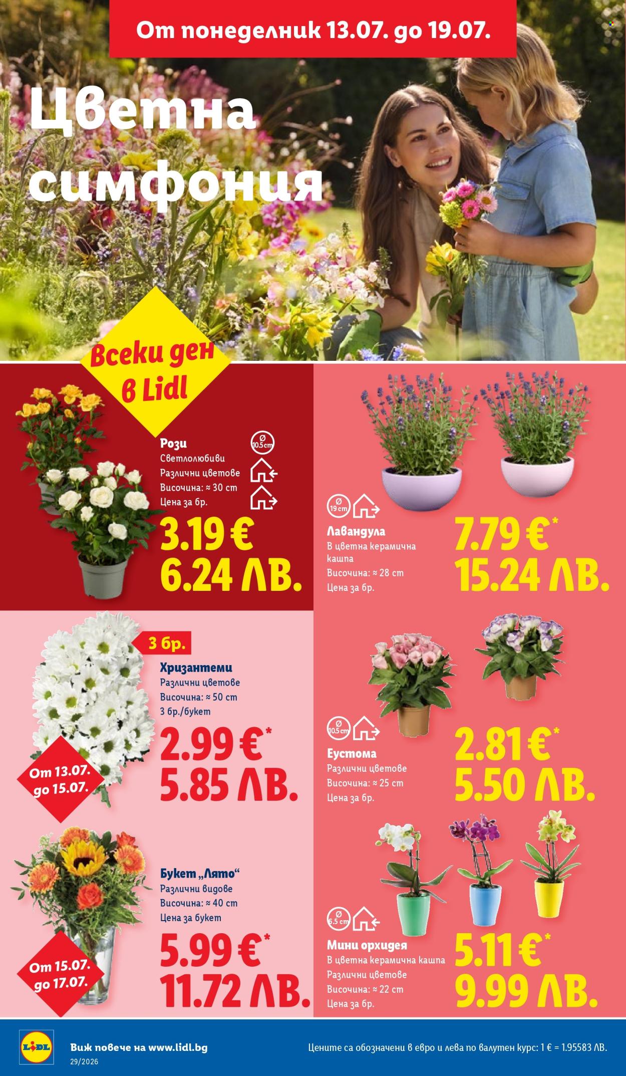 Брошура на Лидл - 13.07.2026 - 19.07.2026. Страница 50