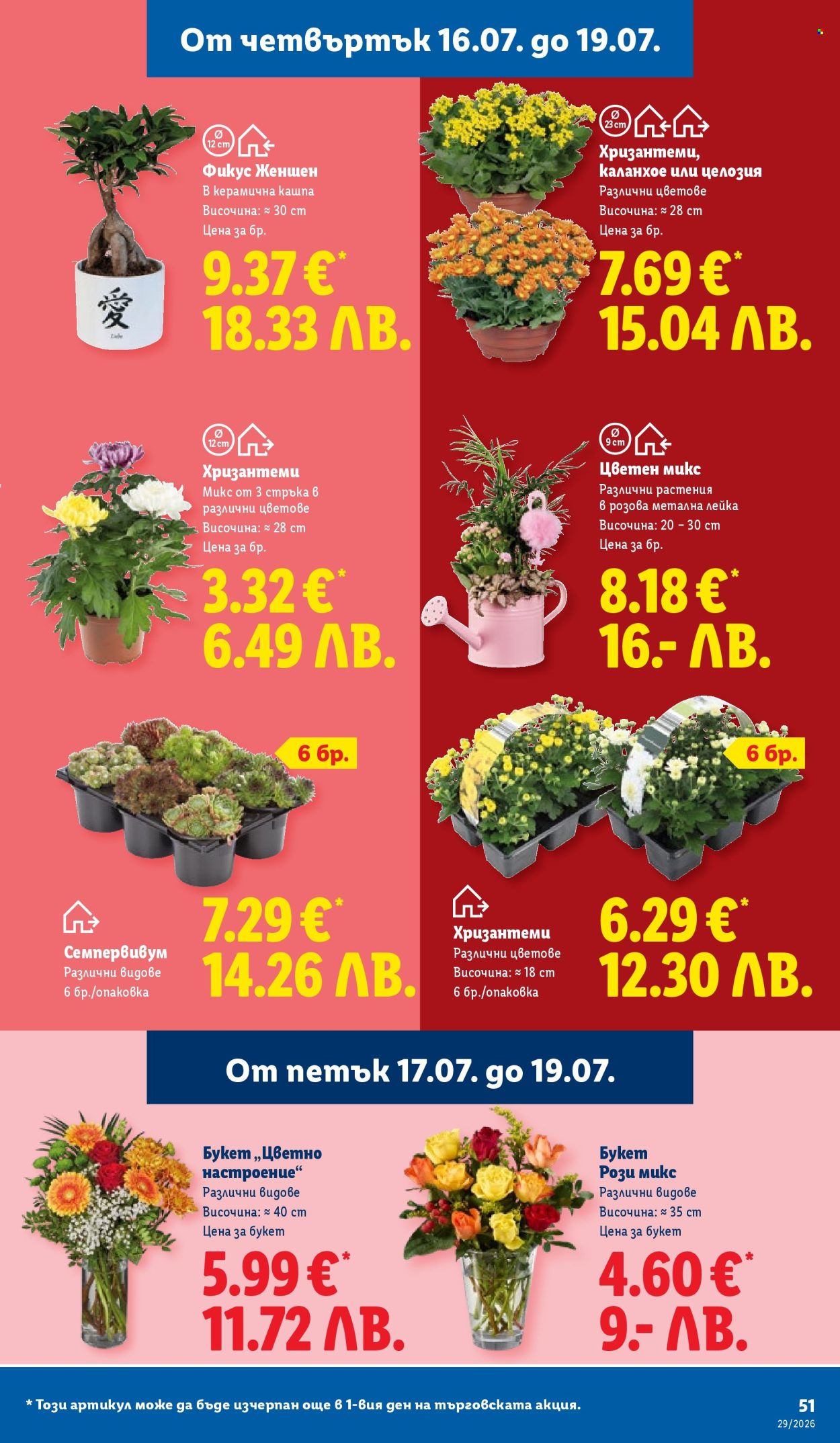 Брошура на Лидл - 13.07.2026 - 19.07.2026. Страница 51