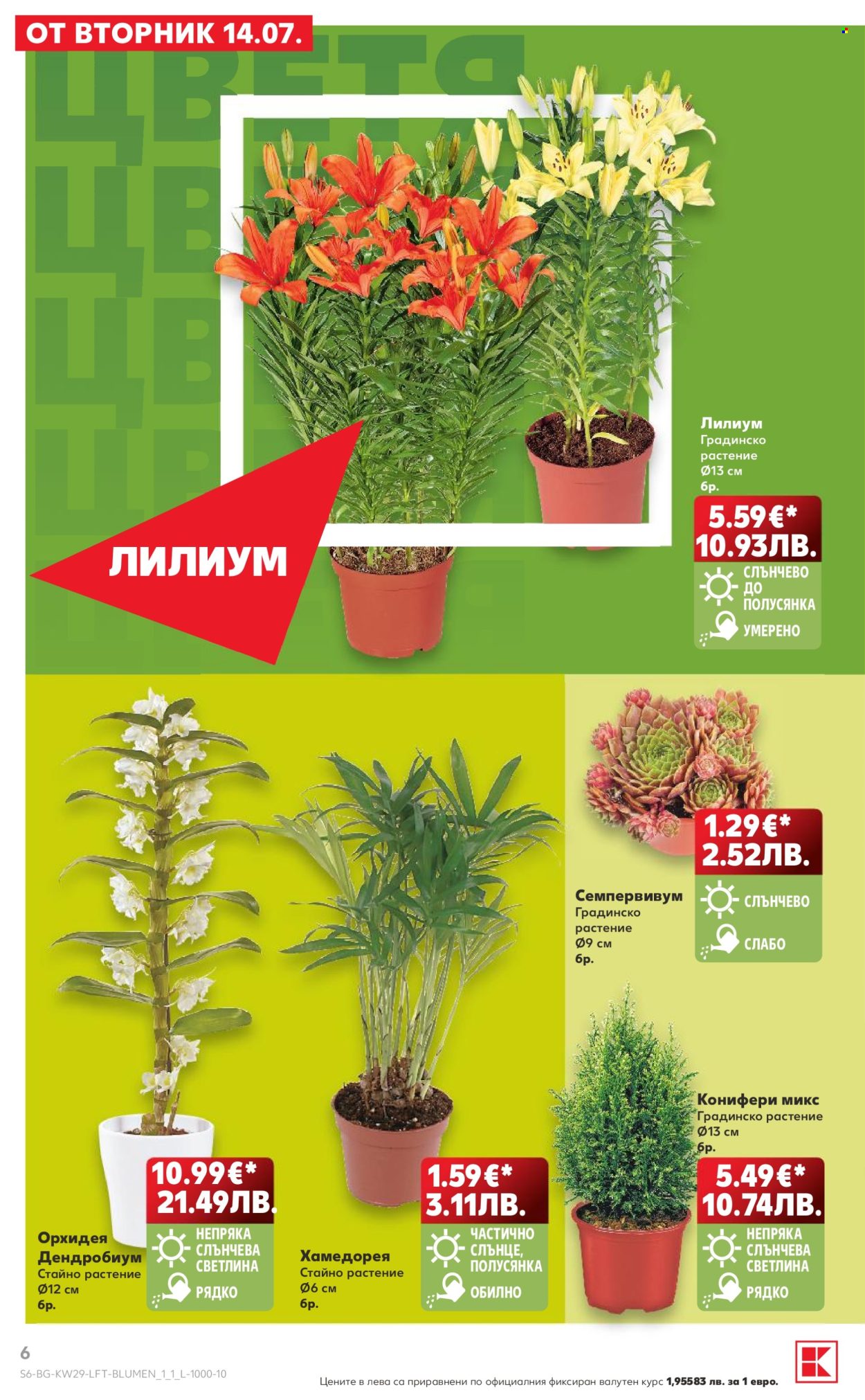 Брошура на Кауфланд - 13.07.2026 - 19.07.2026. Страница 6