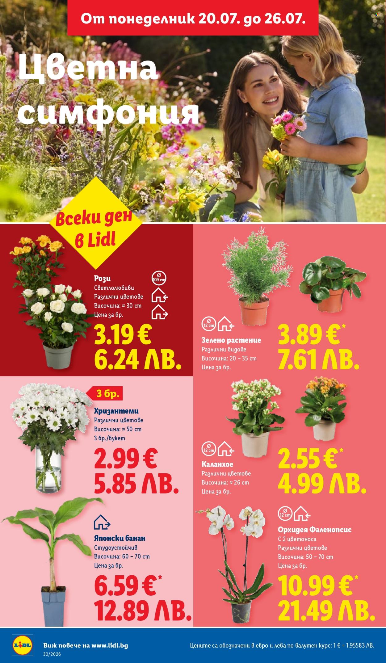 Брошура на Лидл - 20.07.2026 - 26.07.2026. Страница 52