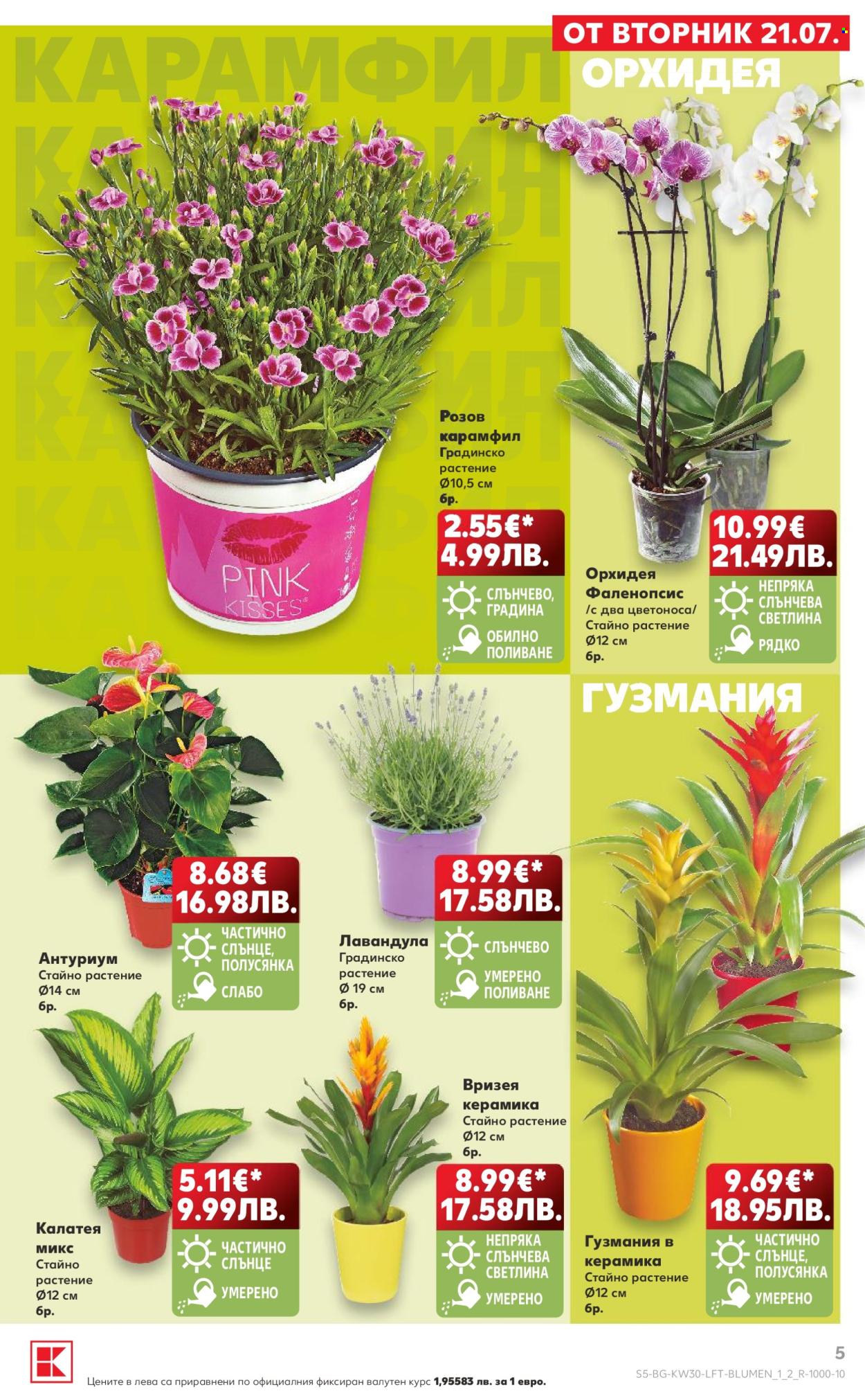 Брошура на Кауфланд - 20.07.2026 - 26.07.2026. Страница 5