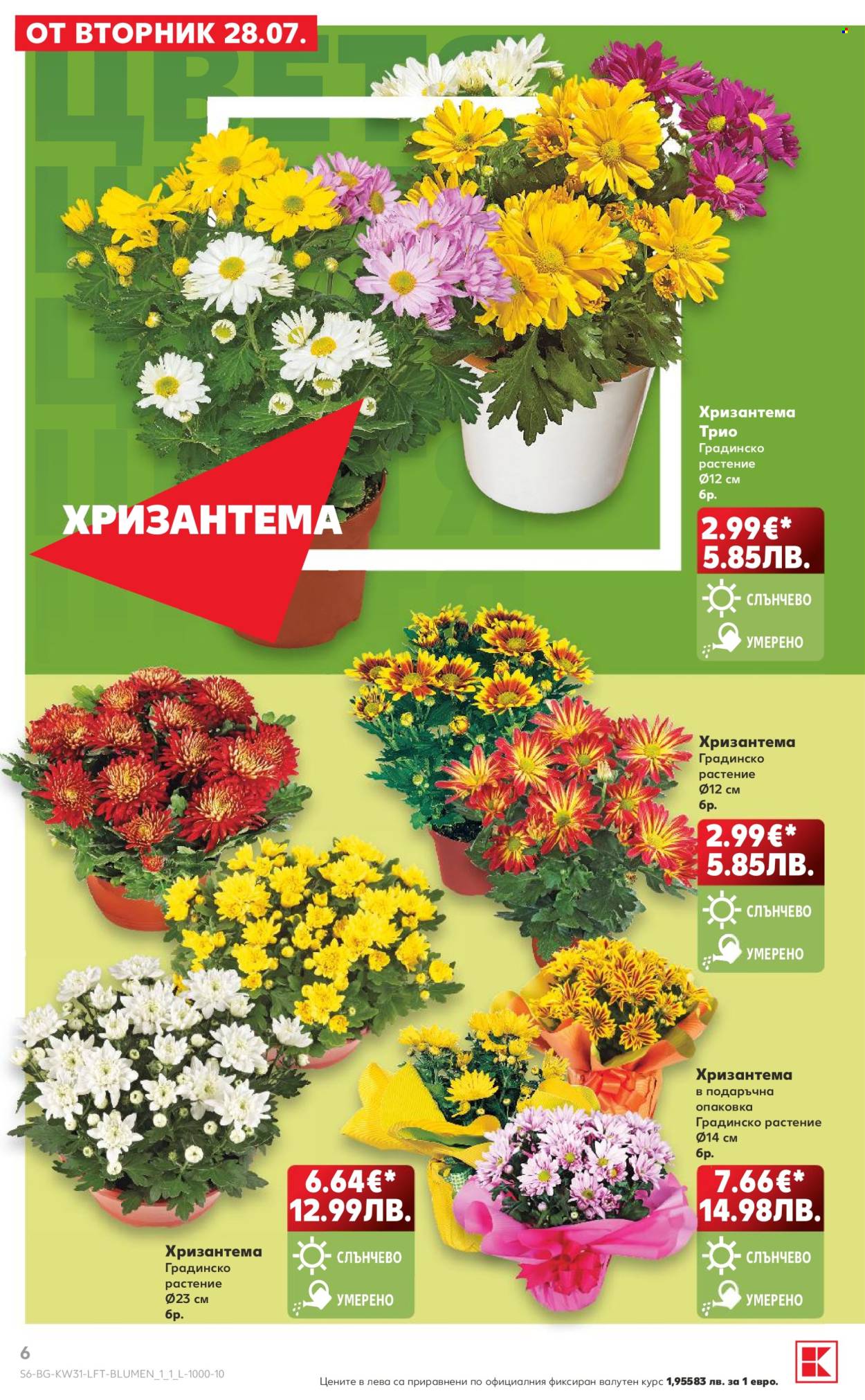 Брошура на Кауфланд - 27.07.2026 - 02.08.2026. Страница 6