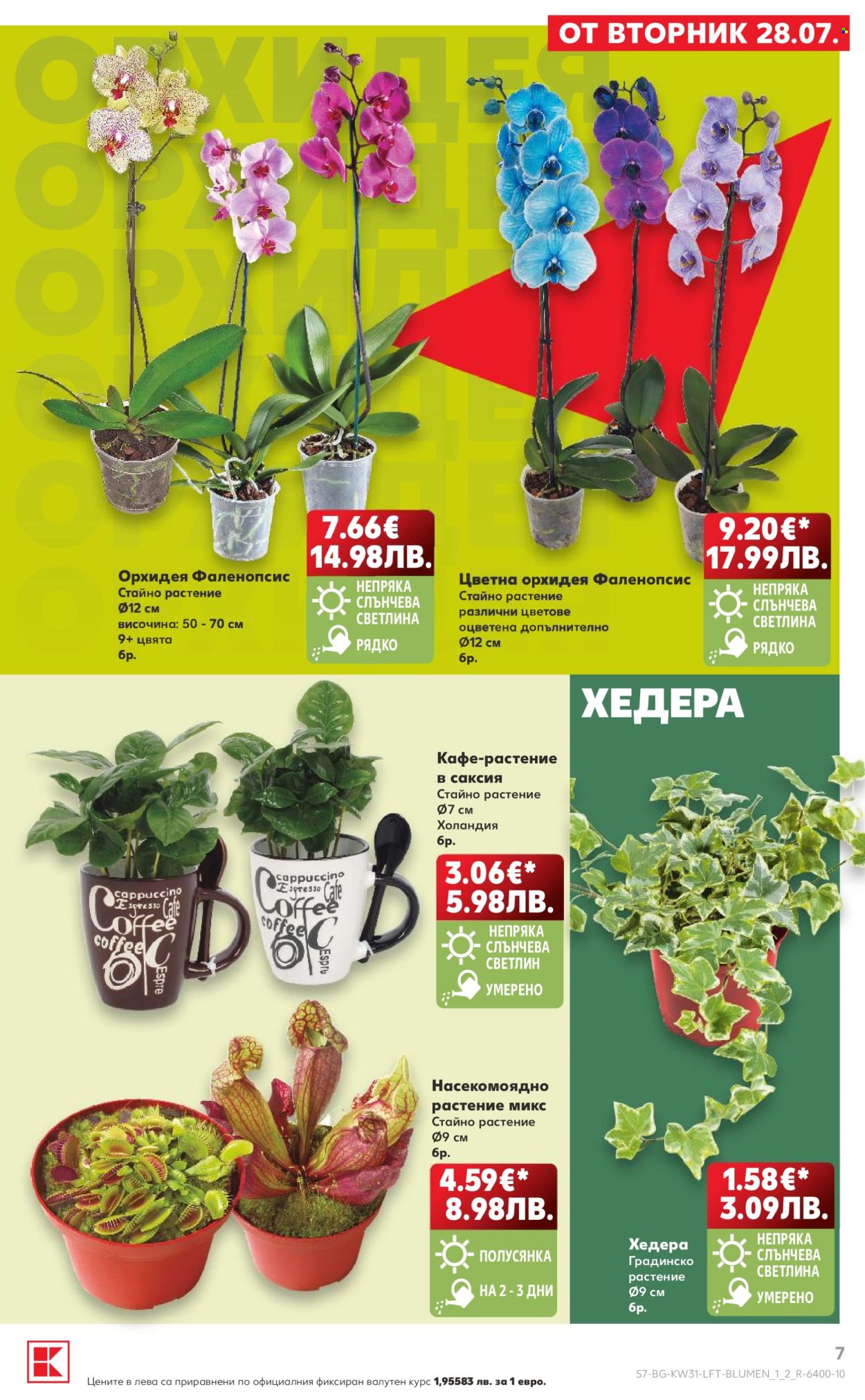 Брошура на Кауфланд - 27.07.2026 - 02.08.2026. Страница 7
