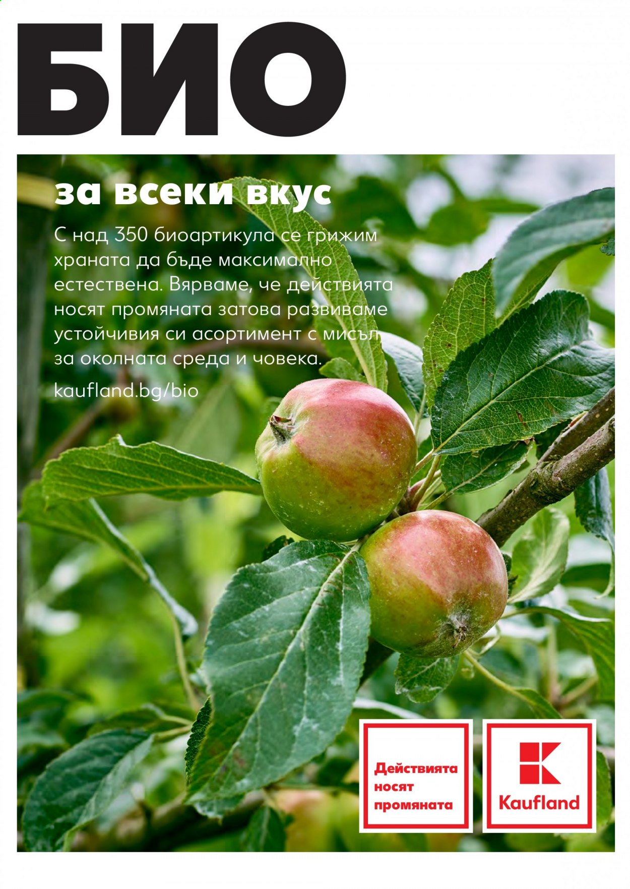 Брошура на Кауфланд - 15.02.2021 - 28.02.2021. Страница 24